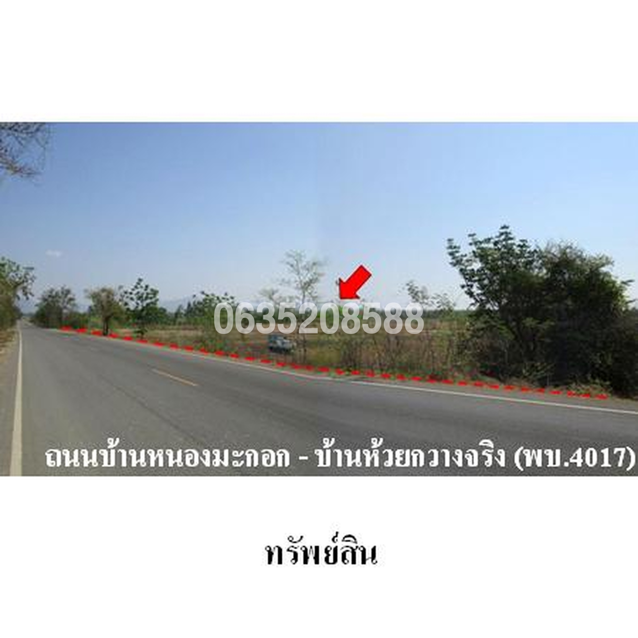 ขายที่ดิน ถนนบ้านหนองมะกอก-บ้านห้วยกวางจริง (พบ.4017)