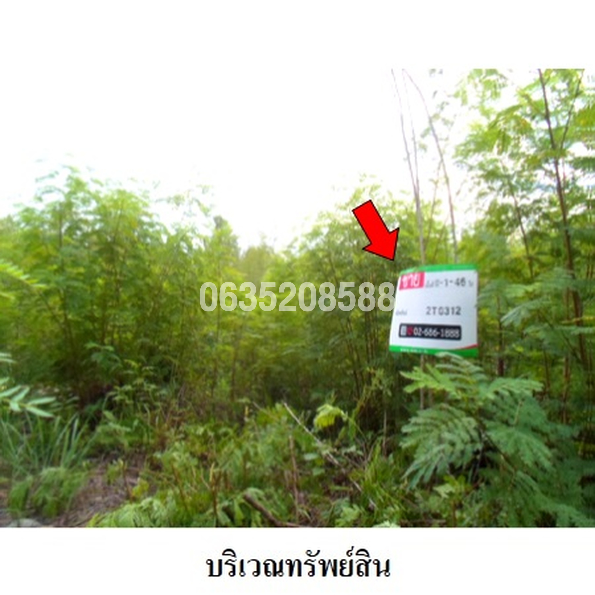 ขายที่ดิน วังแก้ว ปาร์คฮิลล์ รีสอร์ท