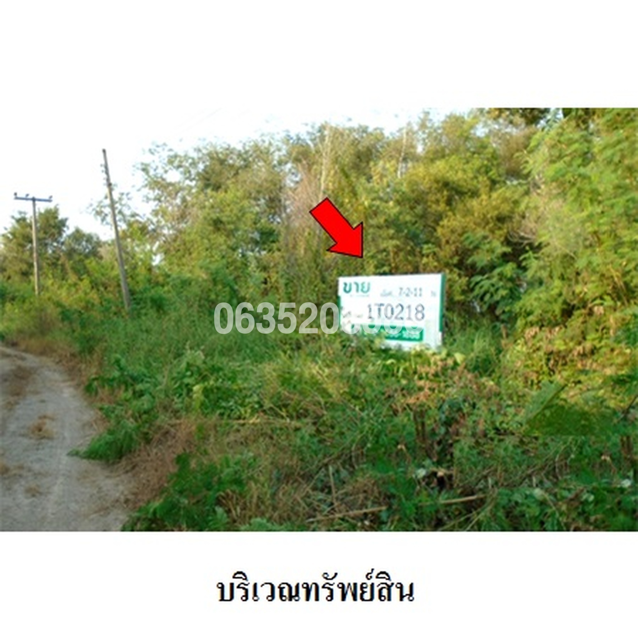 ขายที่ดิน บางไทรการ์เด้น