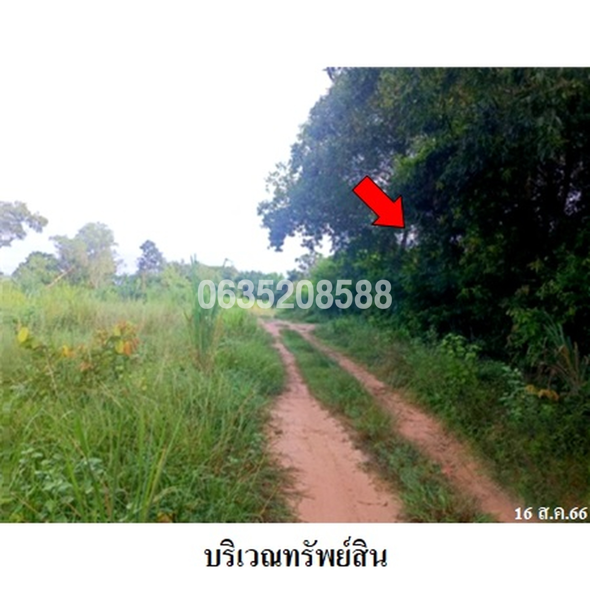 ขายที่ดิน ถนนเทศบาล 25