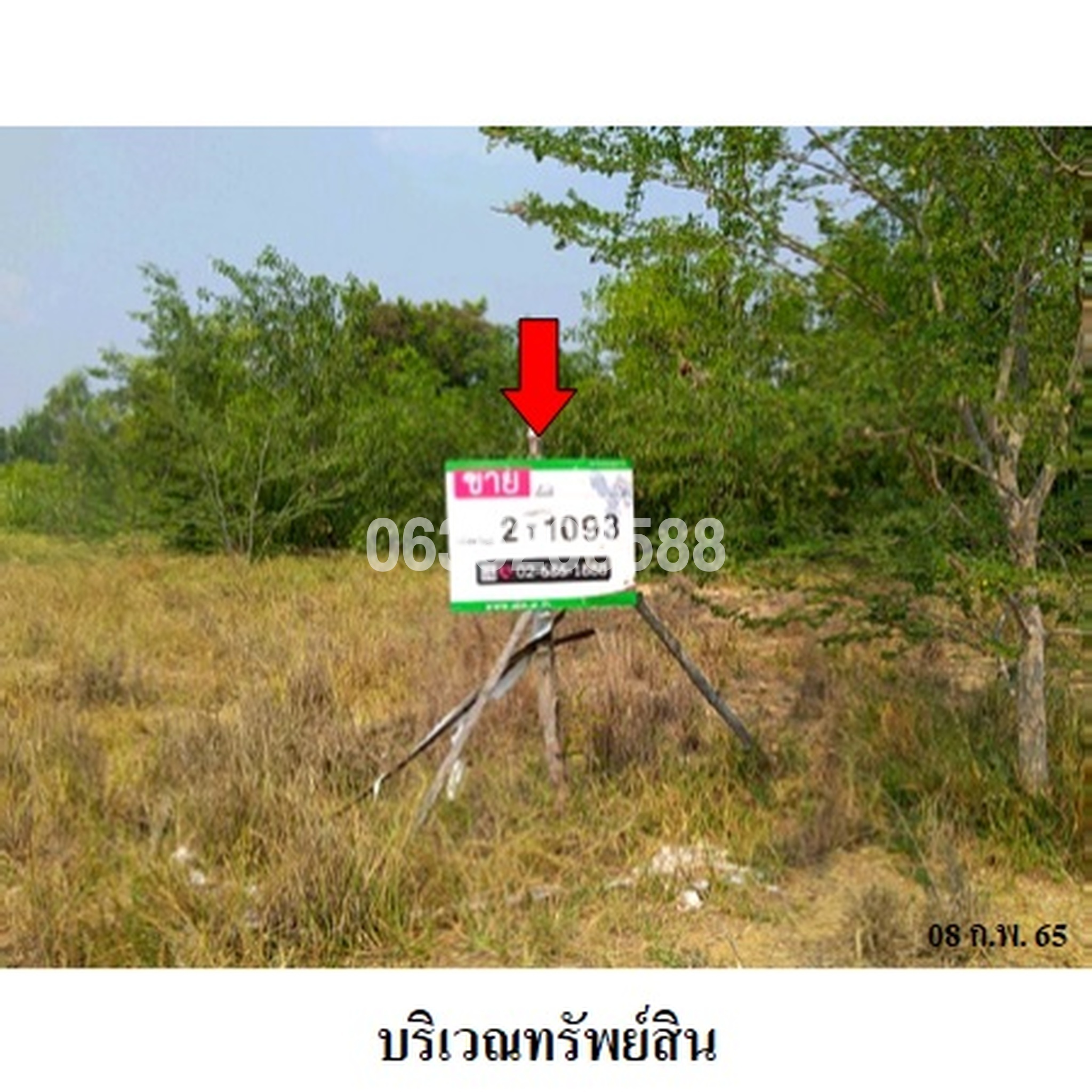 ขายที่ดิน ถนนสายบ้านสาลี-อยุธยา (ทล.3263)