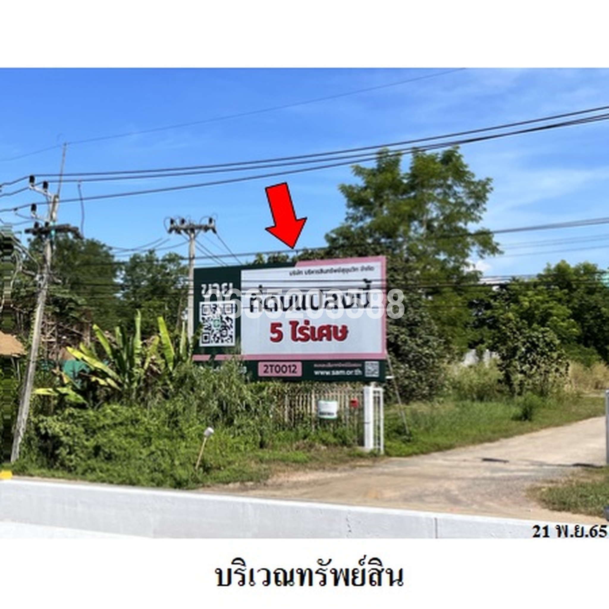 ขายที่ดิน ถนนเชียงใหม่-ฝาง (ทล.107)