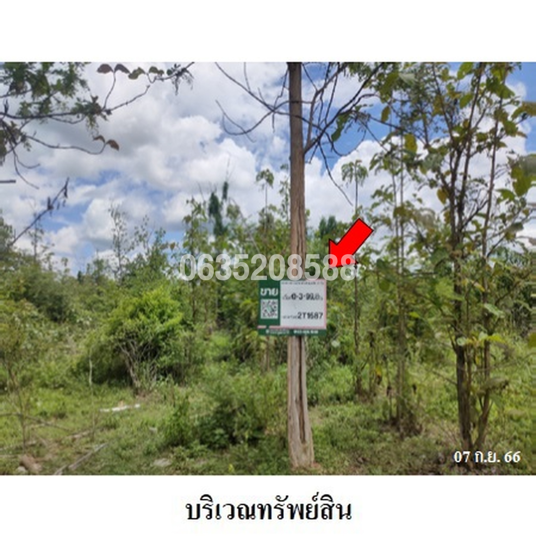 ขายที่ดิน เสริมทรัพย์สักทอง