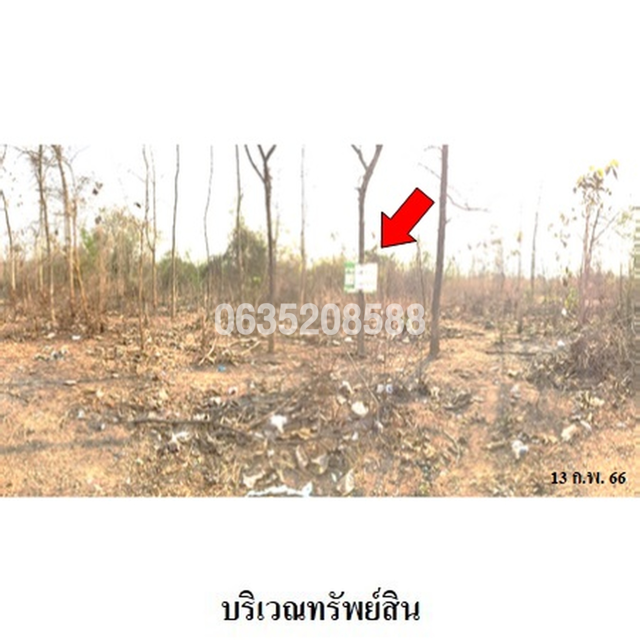 ขายที่ดิน เสริมทรัพย์สักทอง