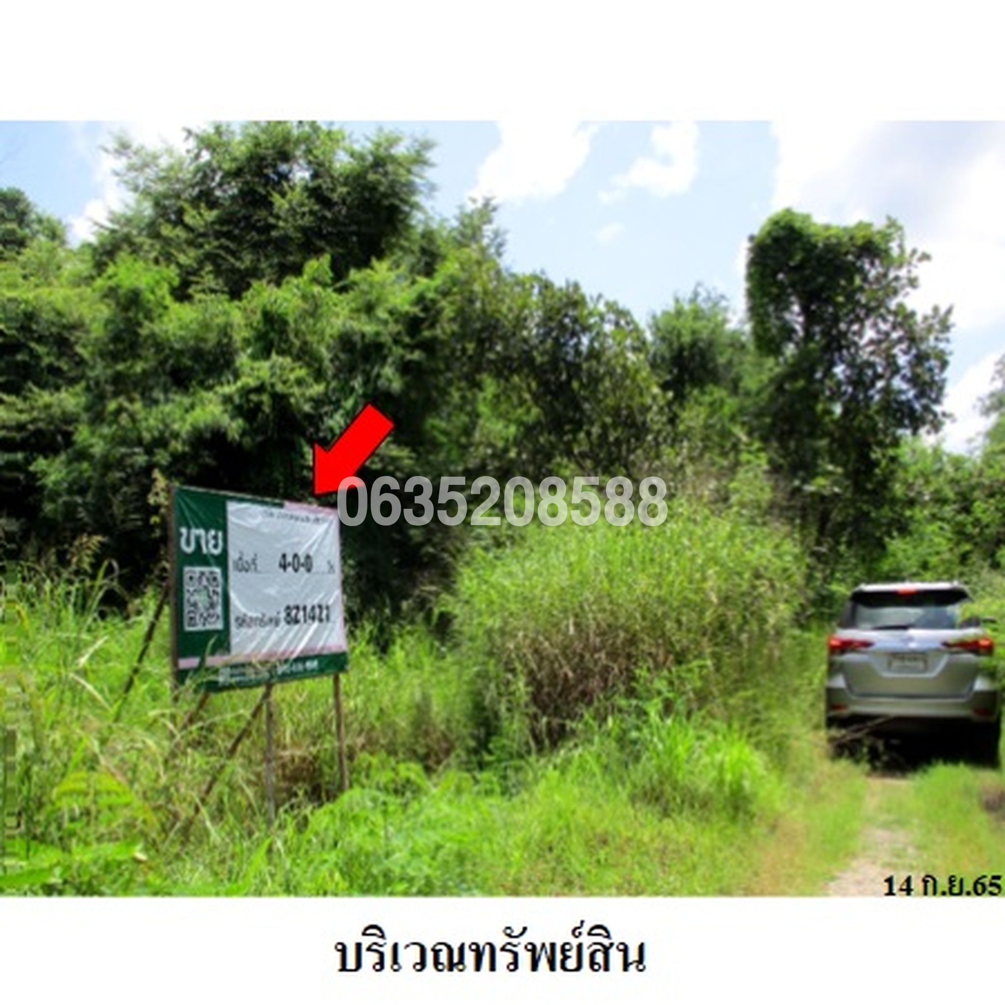 ขายที่ดิน เพชรบูรณ์ฮิลล์ แอนด์ การ์เด้น