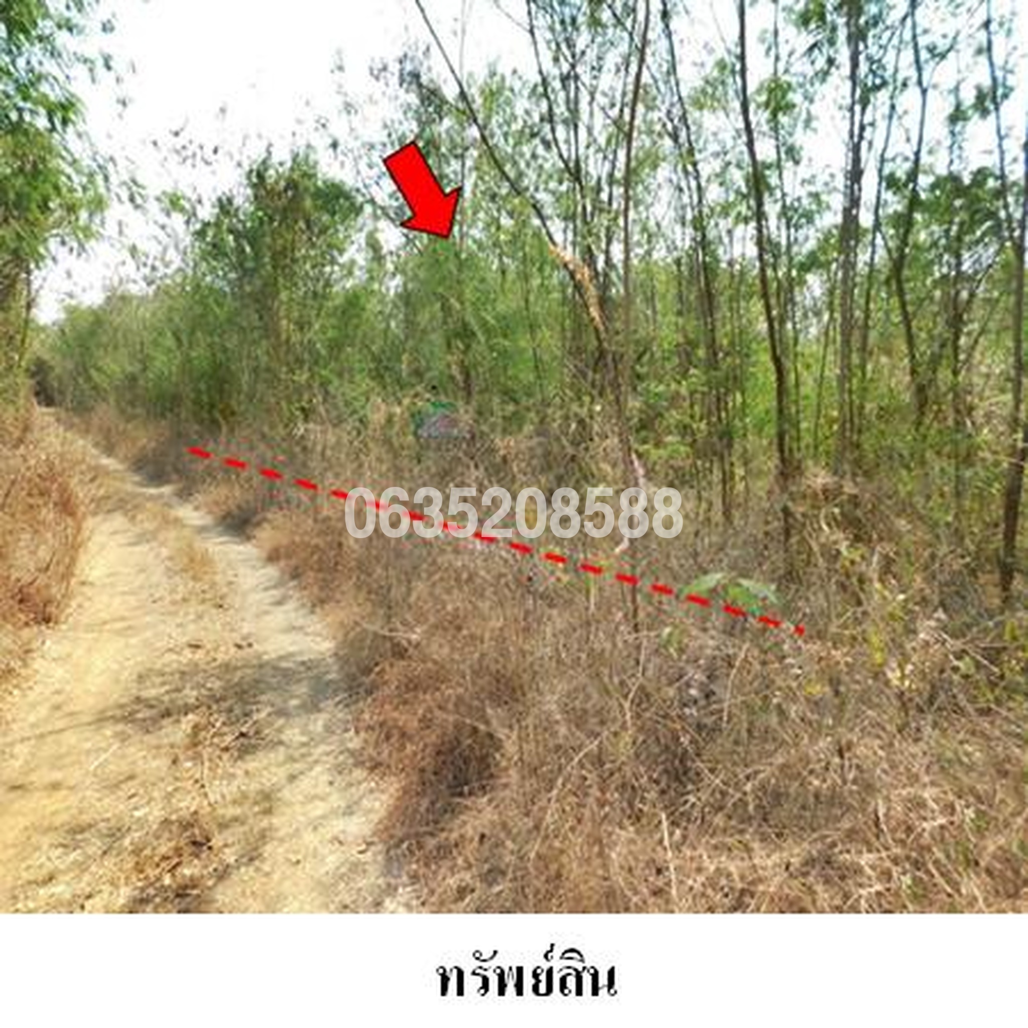 ขายที่ดิน เพชรบูรณ์การ์เด้นฮิลล์