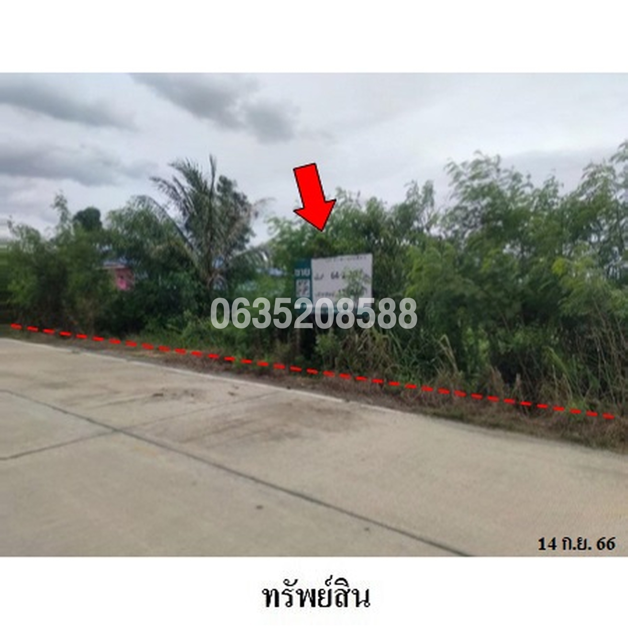 ขายที่ดิน ซอยอบต.ไทรน้อย (เก่า) ถนนบางกรวย-ไทรน้อย (ทล.3215)
