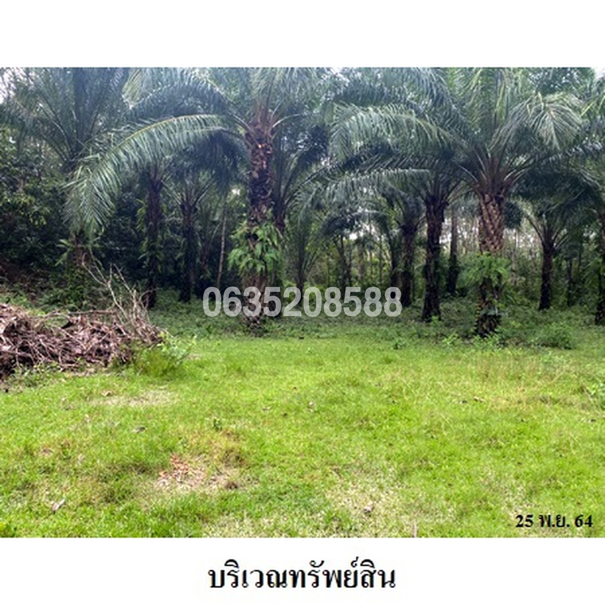 ขายที่ดิน ถนนสายบุรี-กะพ้อ (ทล.4060)