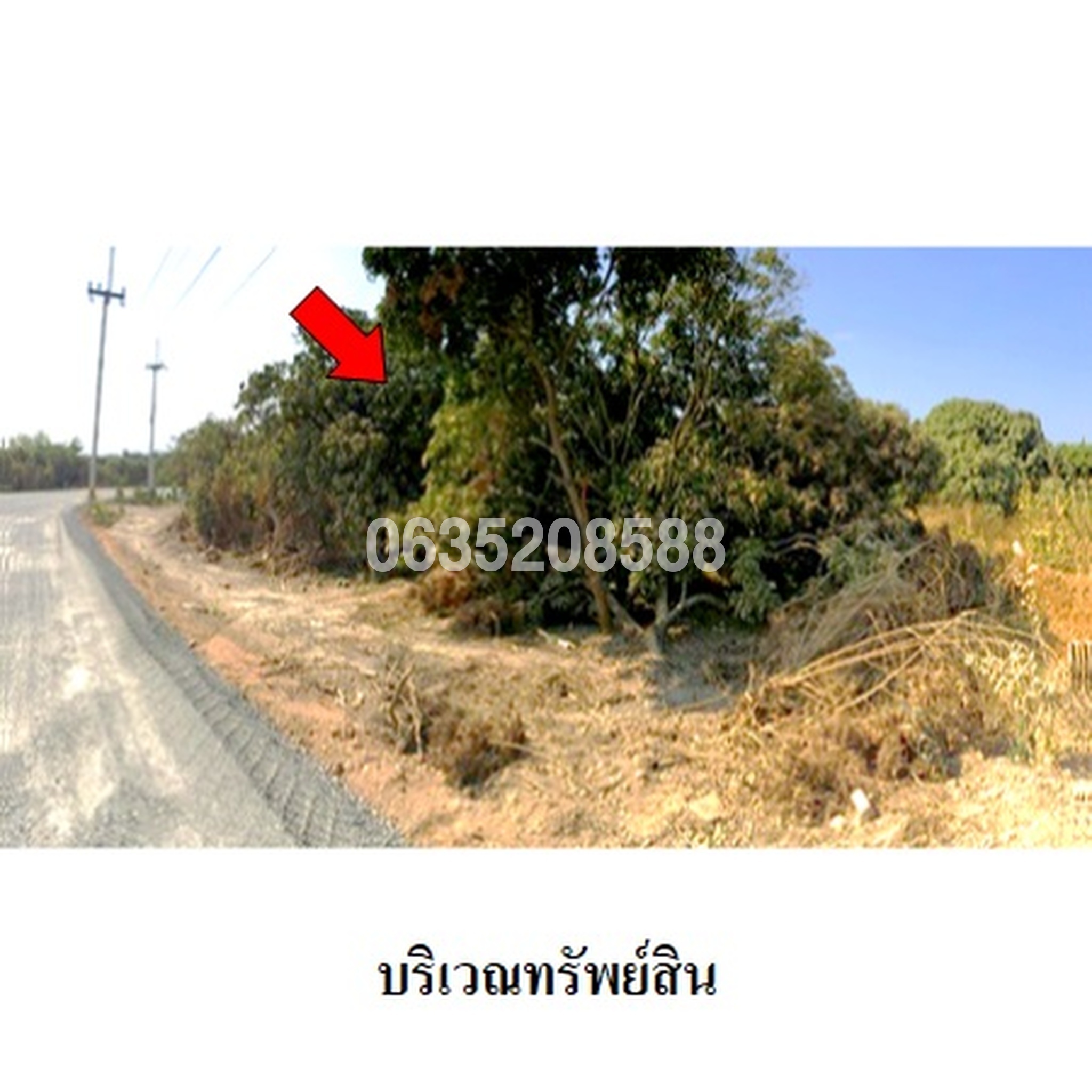 ขายที่ดิน ซอยทางเข้าโรงเรียนบ้านสบแจ่มฝั่งซ้าย ถนนสายเชียงใหม่-ฮอด (ทล.108)