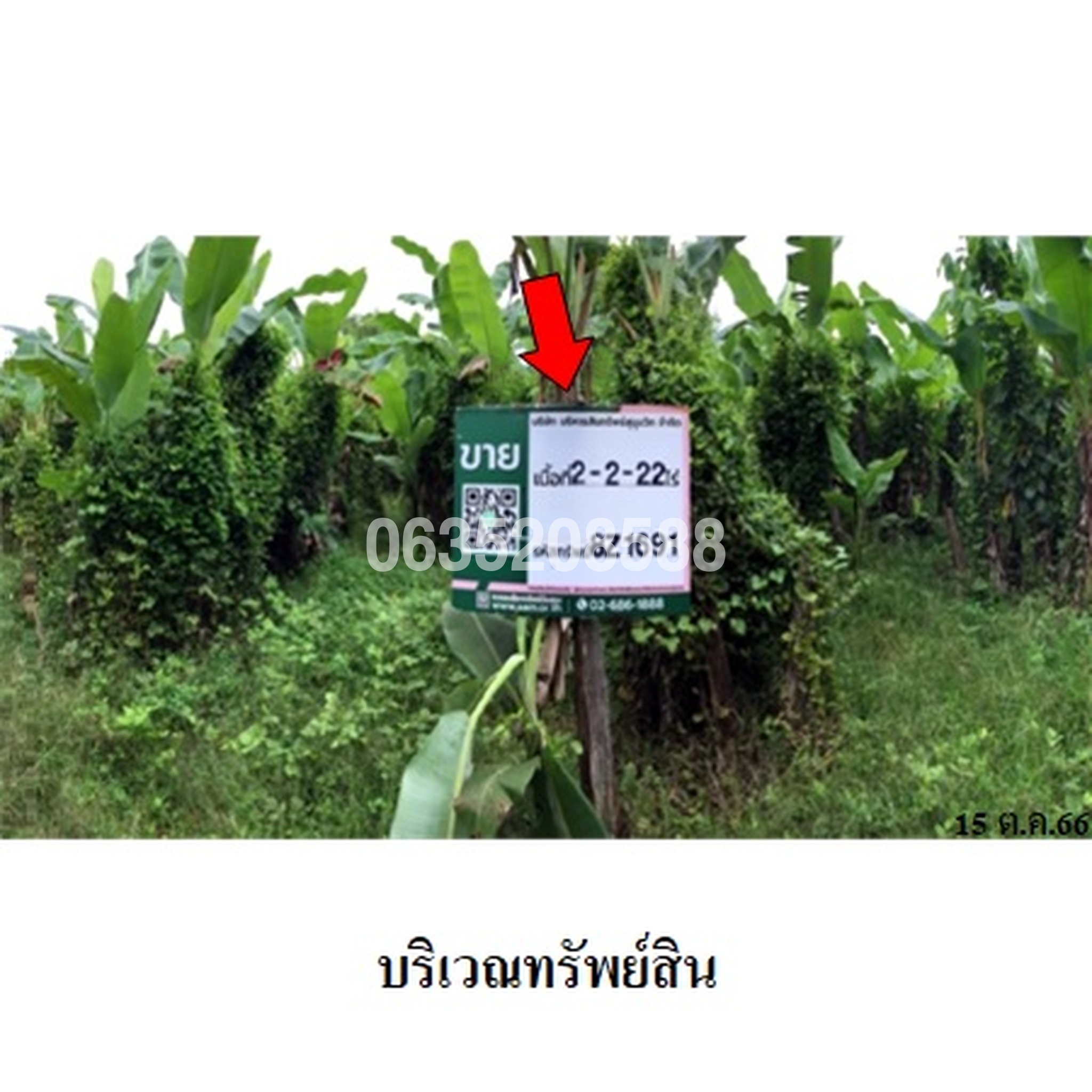 ขายที่ดิน ถนนสายศรีสำโรง-บ้านสวน (ทล.1054)