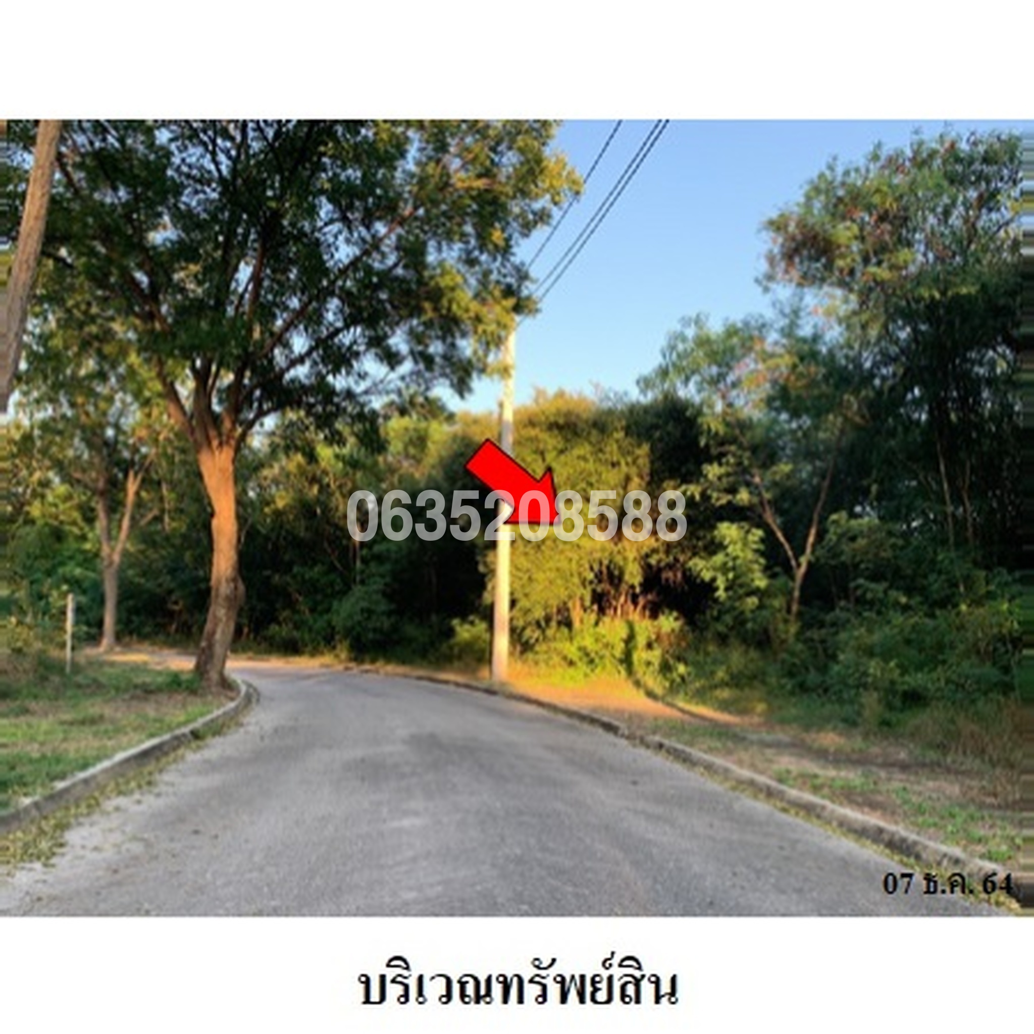 ขายที่ดิน สปริงฟิลด์ รอยัลคันทรีคลับ