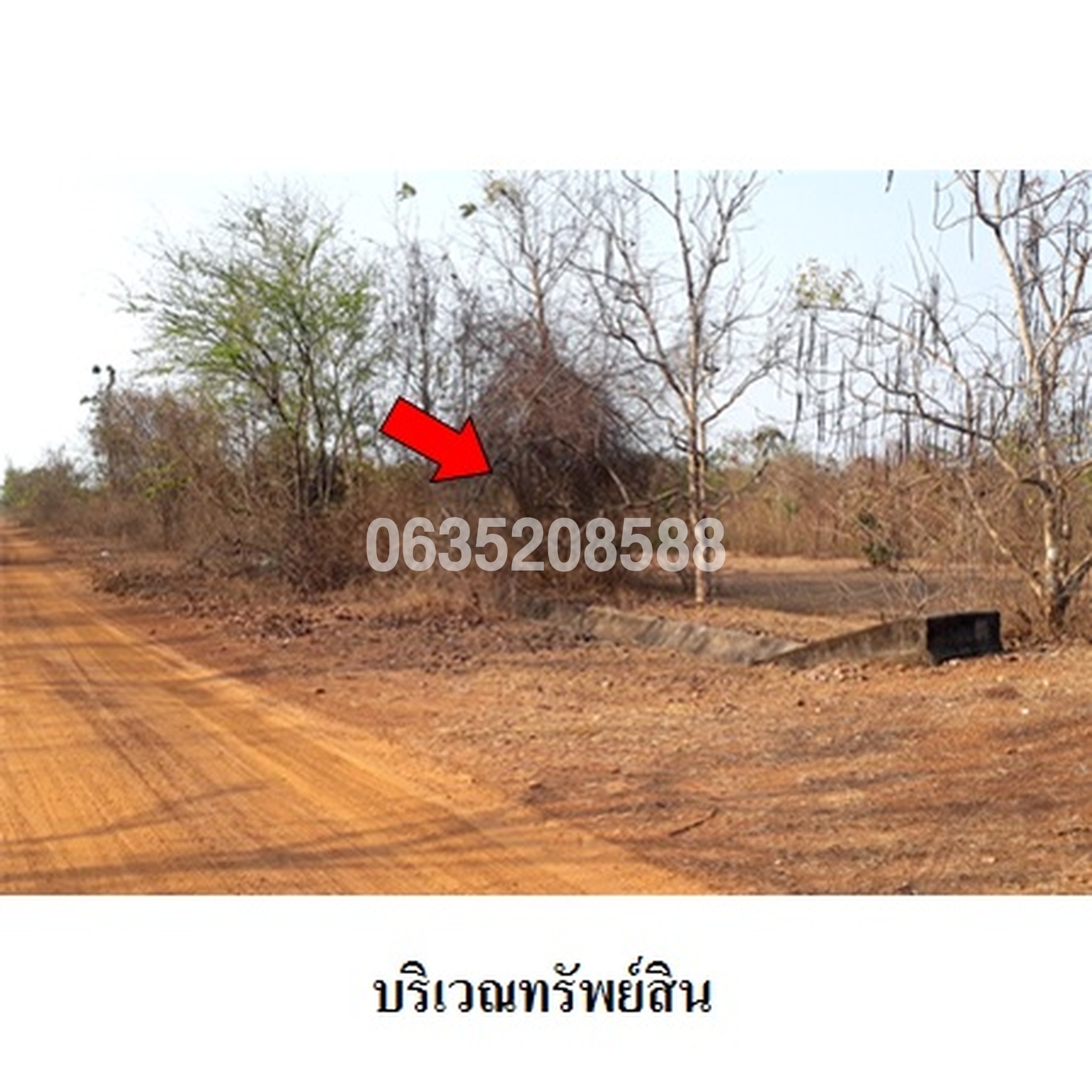 ขายที่ดิน สวนเกษตรมัลติอโกร