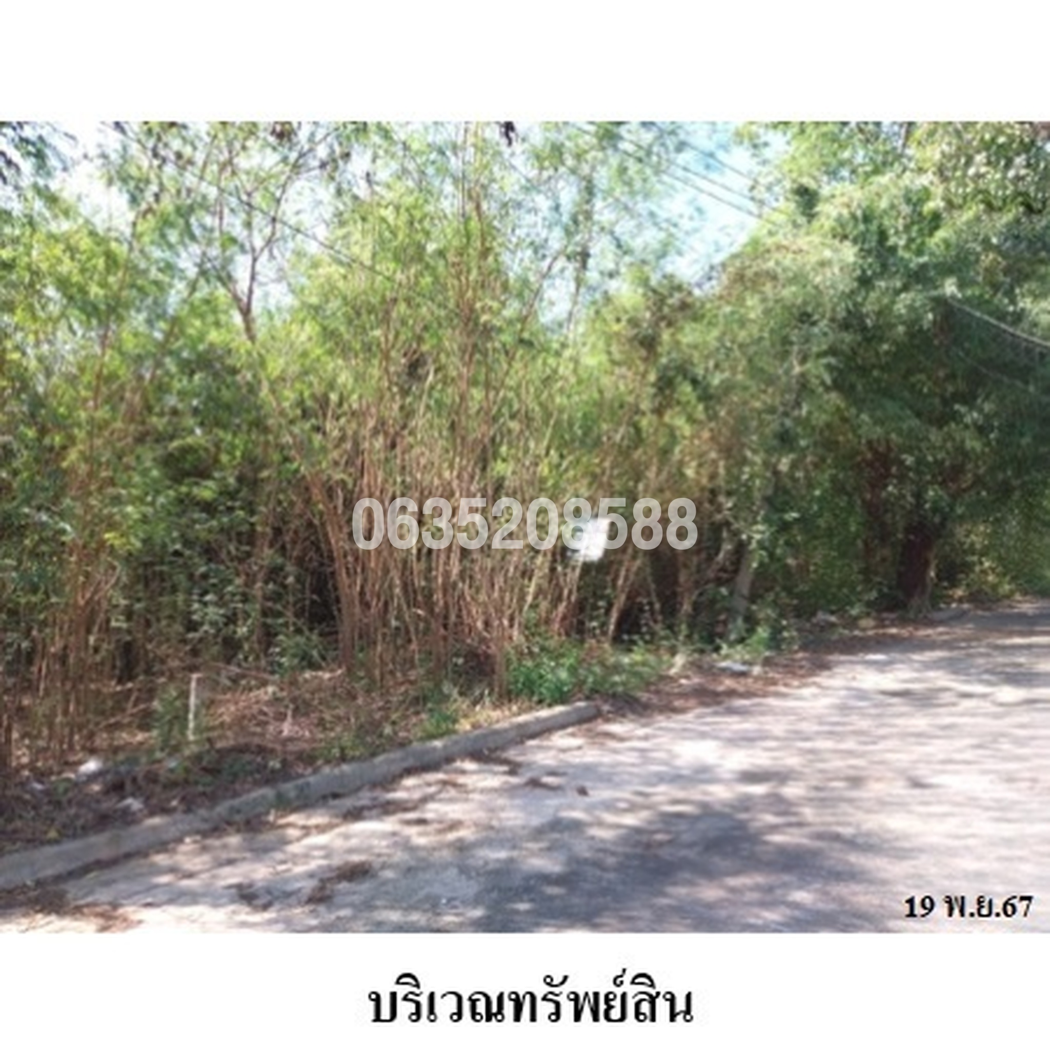 ขายที่ดิน ชินีวิลล์