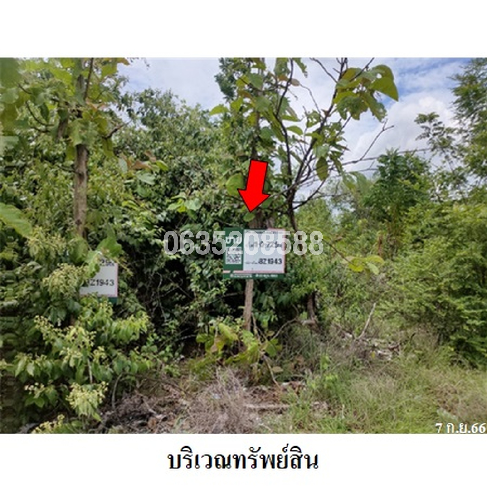 ขายที่ดิน เสริมทรัพย์สักทอง