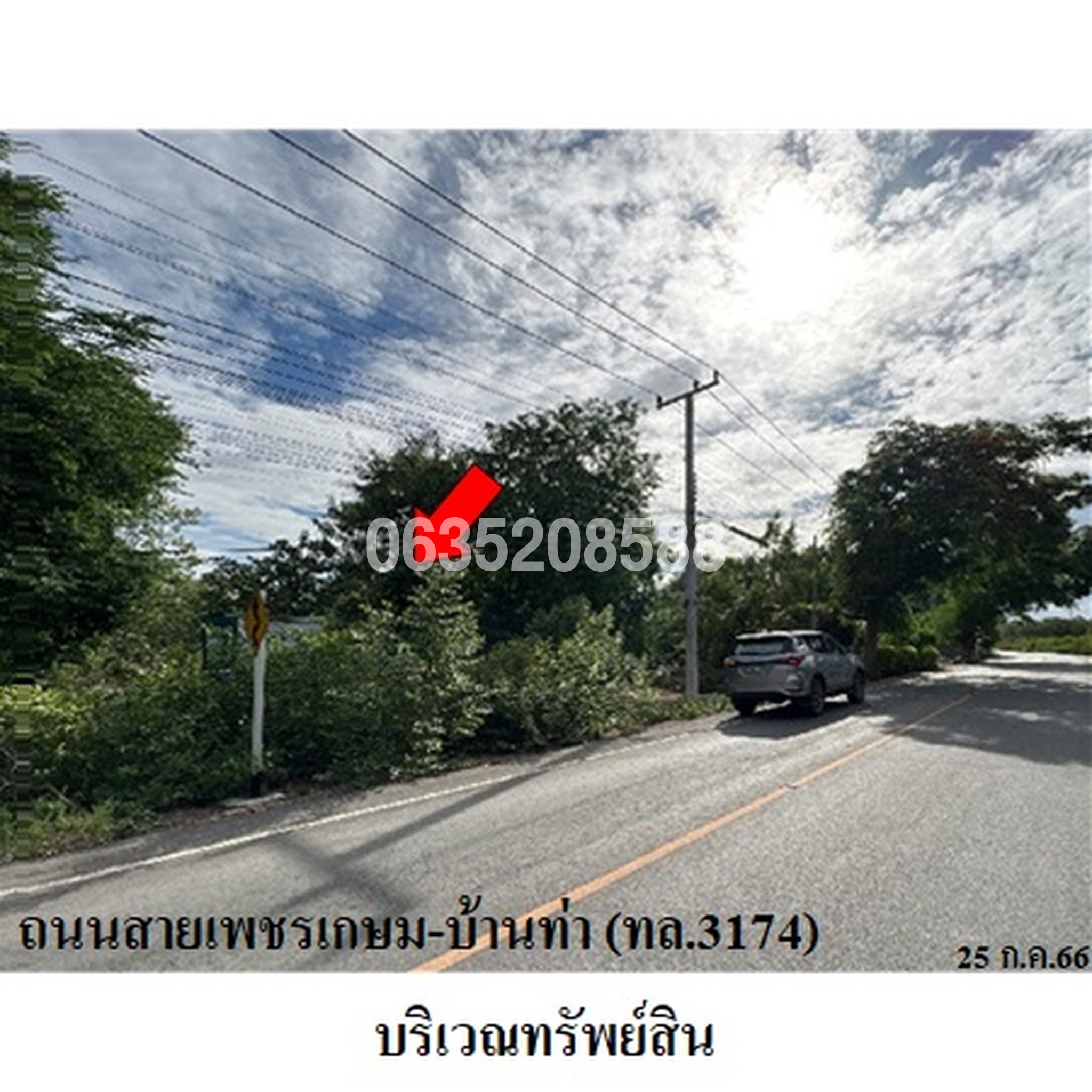 ขายที่ดิน ถนนเพชรเกษม-บ้านท่า (ทล.3174)