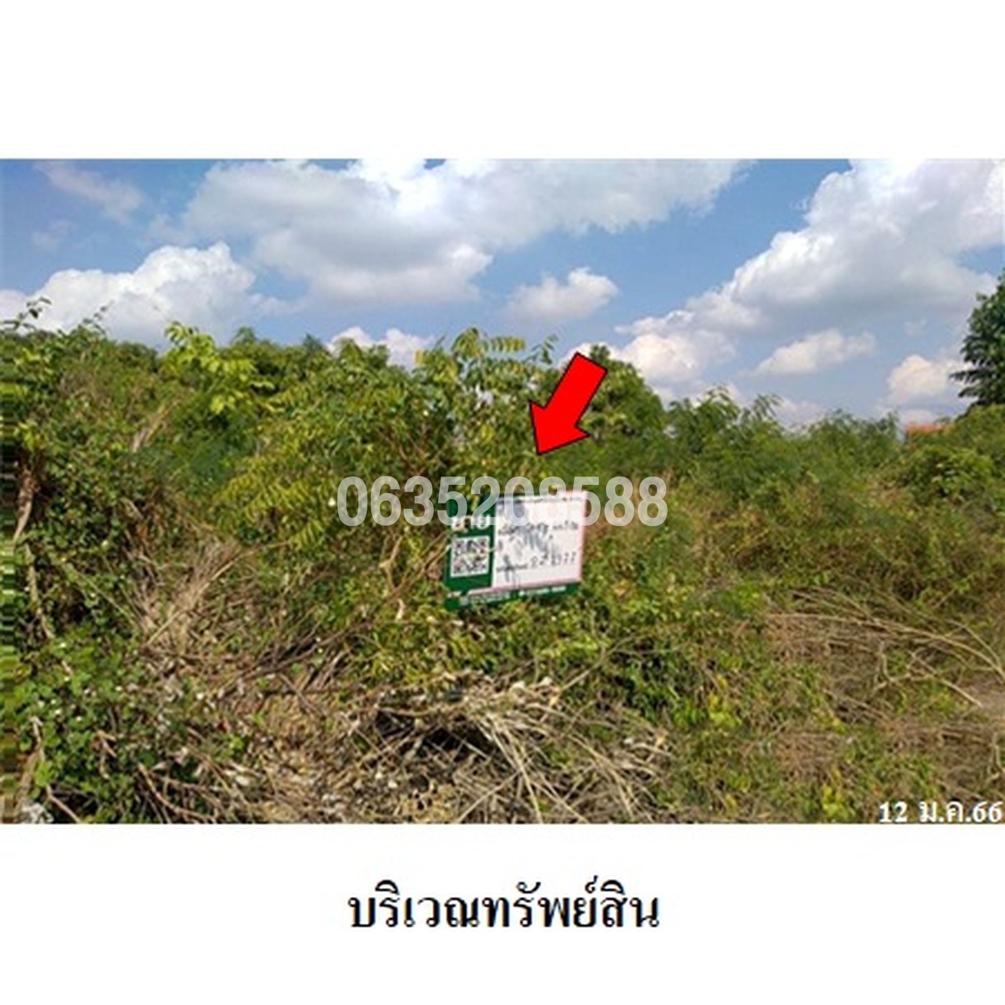 ขายที่ดิน ถนนถาวโร