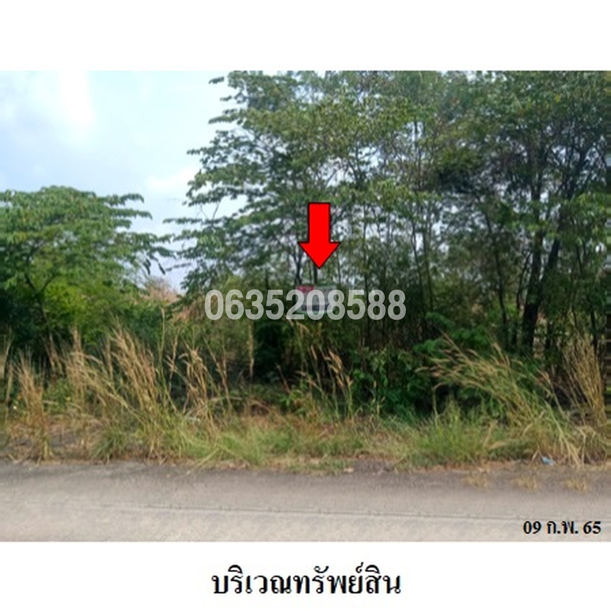 ขายที่ดิน บางไทรเวลเนสโฮม (Wellness Home Phase 3)