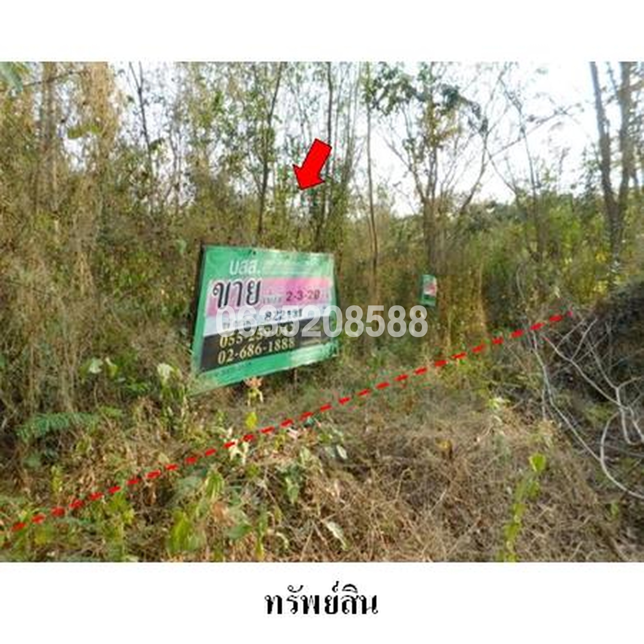 ขายที่ดิน เพชรบูรณ์การ์เด้นฮิลล์