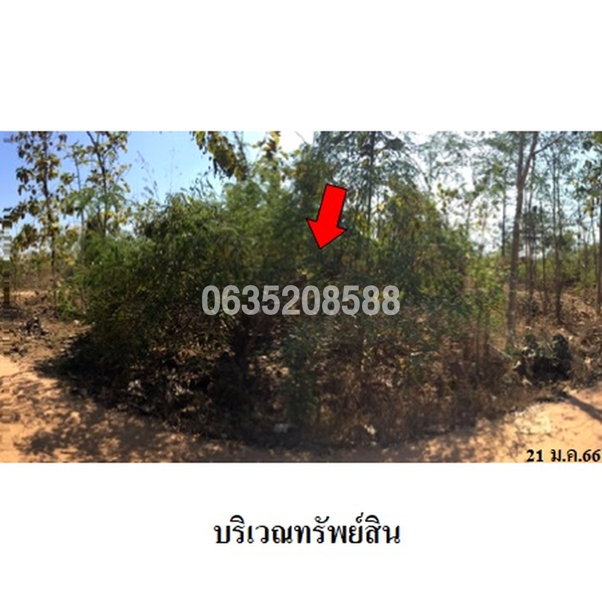 ขายที่ดิน เสริมทรัพย์สักทอง