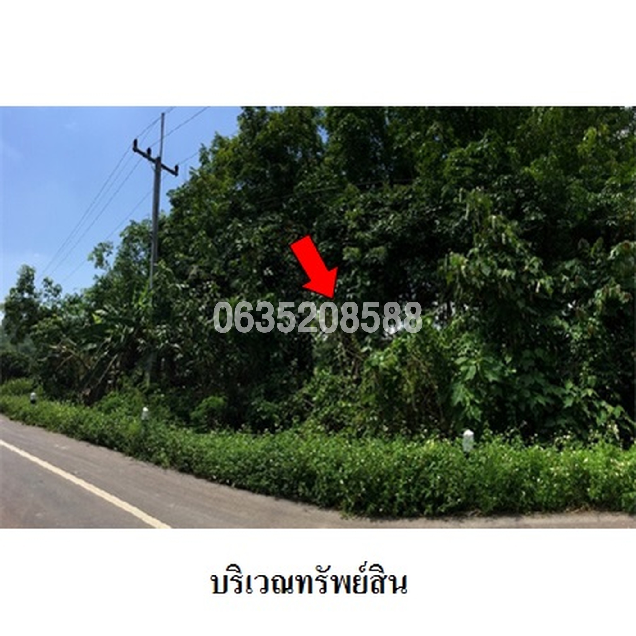 ขายที่ดิน ถนนสายหัวดอย-สันสลีก-บ้านต้า (ทล.1152)