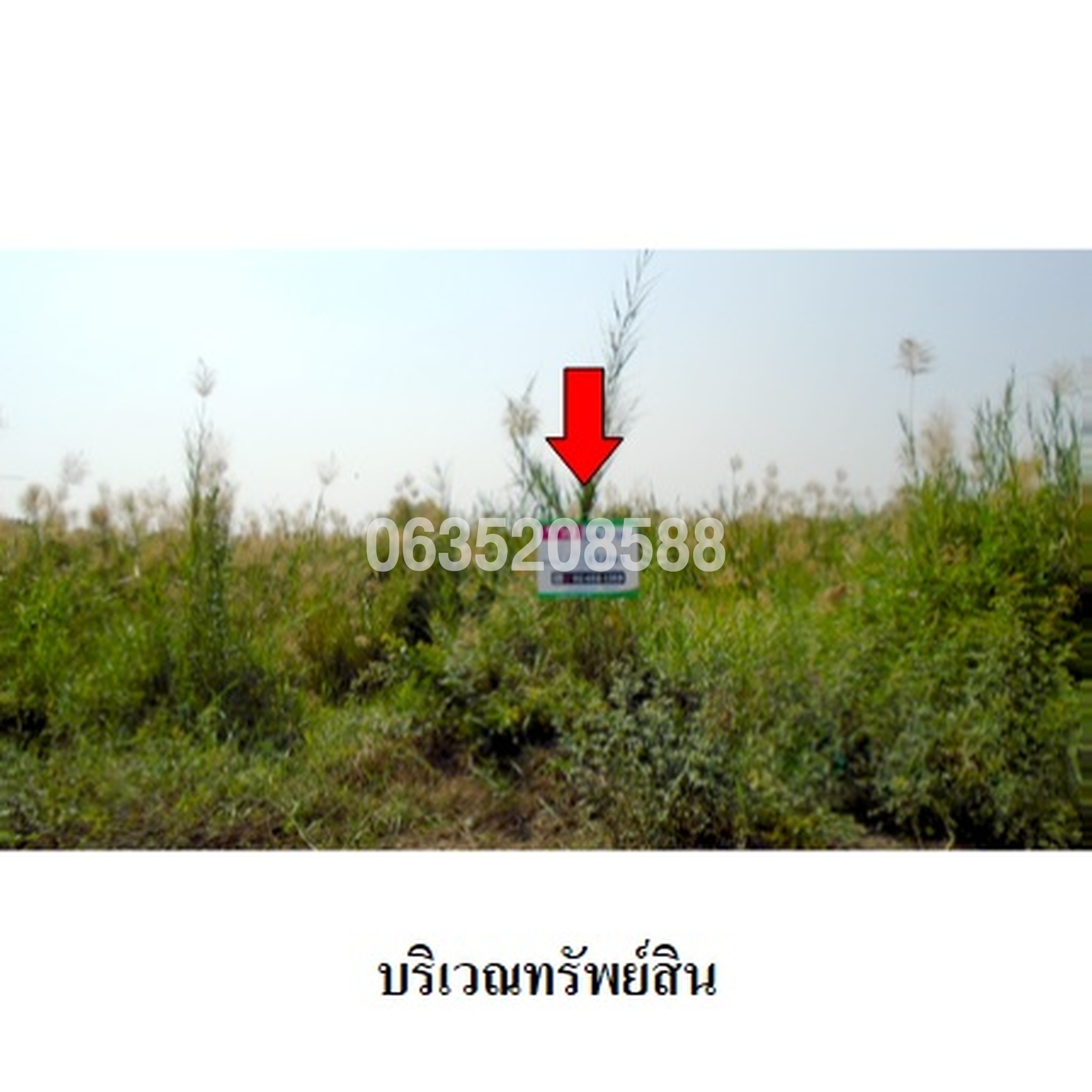 ขายที่ดิน ถนนเลียบคลองระพีพัฒน์ (อย.1043)