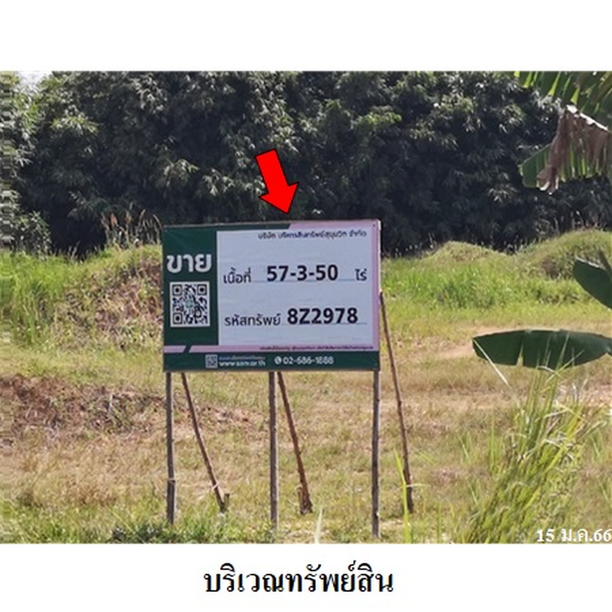 ทรัพย์สถาบันโดย บริษัท บริหารสินทรัพย์สุขุมวิท จำกัด ที่ดิน ถนนสายอ่าวลึก-ปลายพระยา (4009)