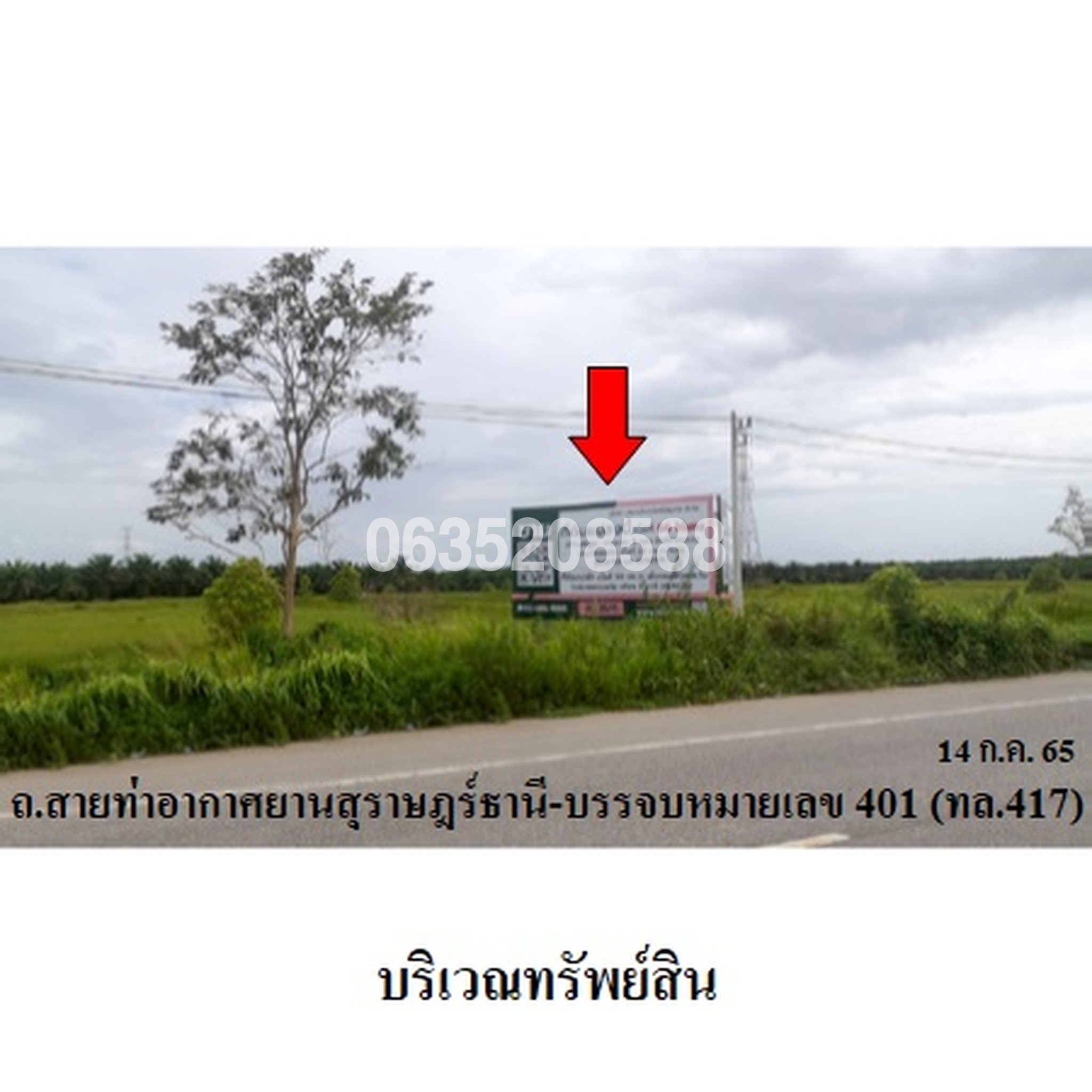 ขายที่ดิน ถนนสายท่าอากาศยานสุราษฎร์ธานี (ทล.417)