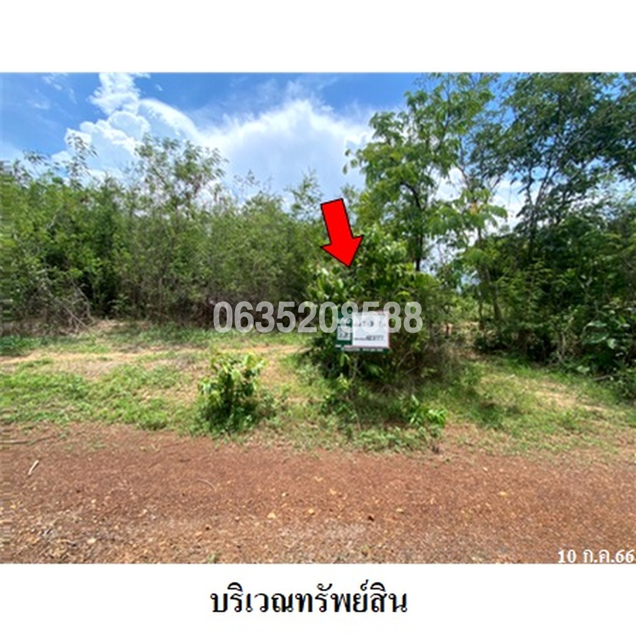 ขายที่ดิน ถนนสายบ้านกล้วยหลวง