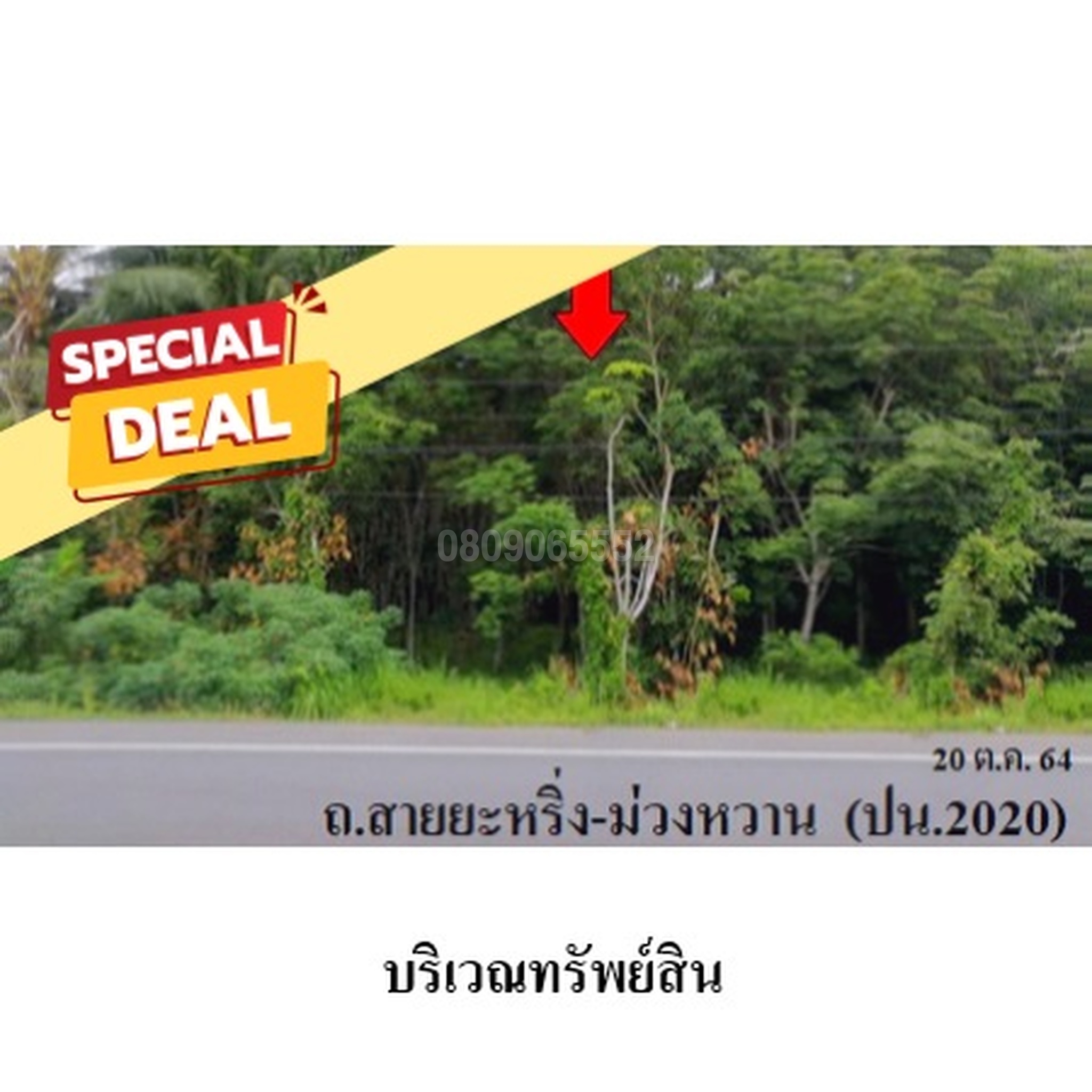 ขายที่ดิน ถนนสายยะหริ่ง-ม่วงหวาน (ปน.2020)