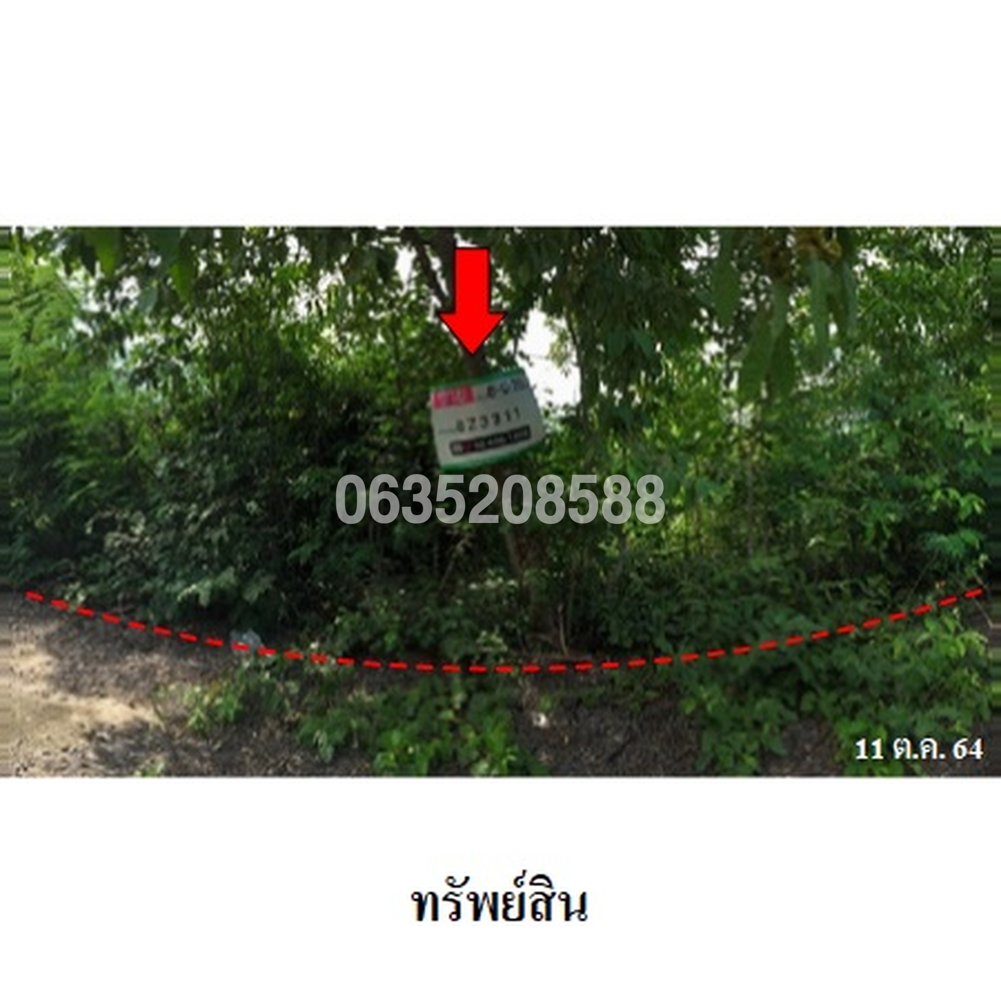 ขายที่ดิน สวนเกษตรนพวรรณ