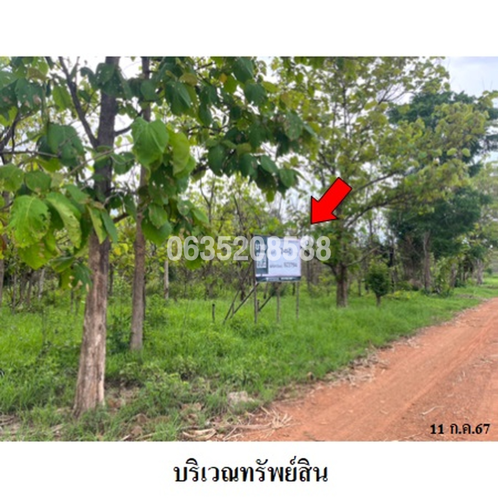 ทรัพย์สถาบันโดย บริษัท บริหารสินทรัพย์สุขุมวิท จำกัด ที่ดิน ถนนสายหนองแจง-บ้านกลาง (ชน.4017)