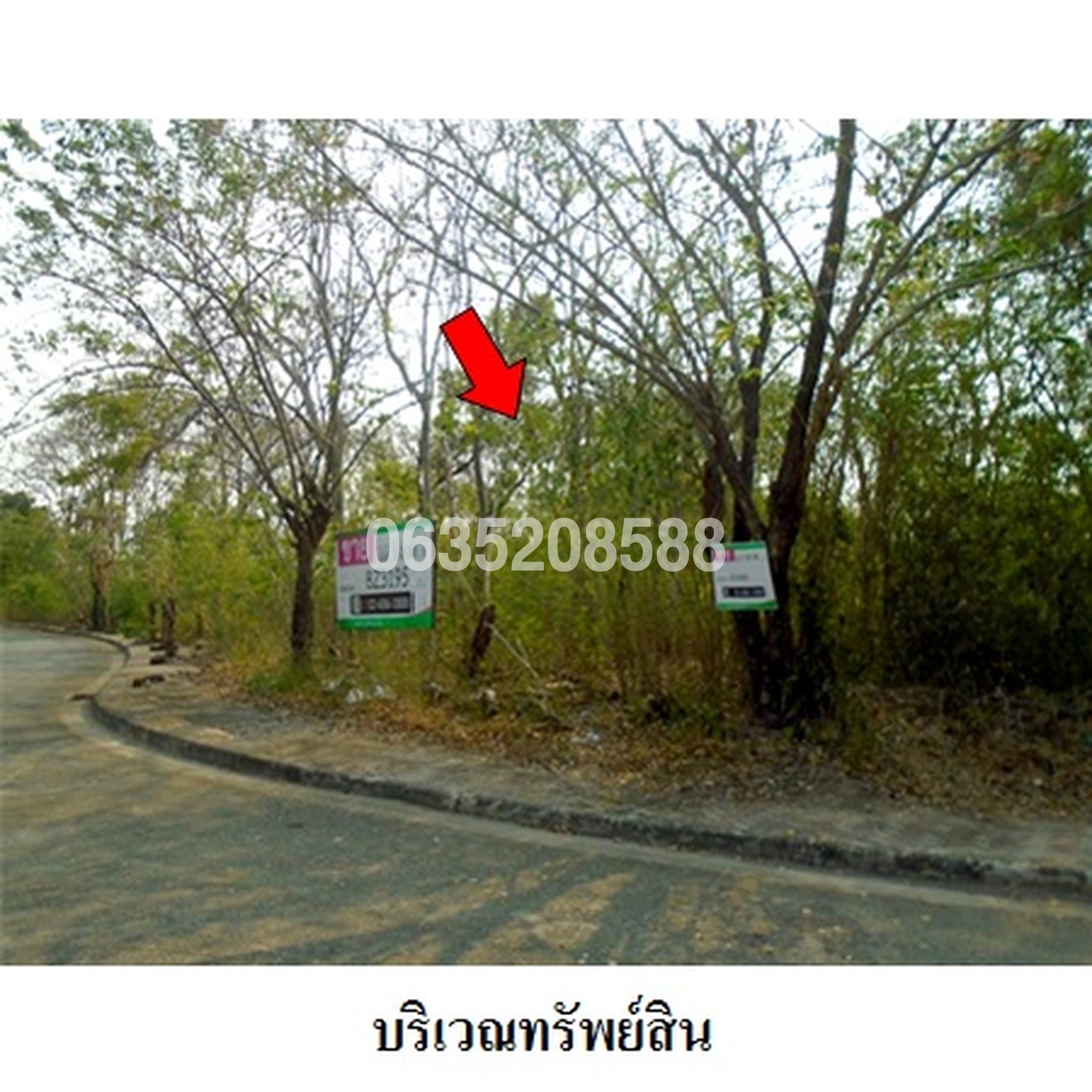 ทรัพย์สถาบันโดย บริษัท บริหารสินทรัพย์สุขุมวิท จำกัด ที่ดิน เลควูด คันทรีคลับ