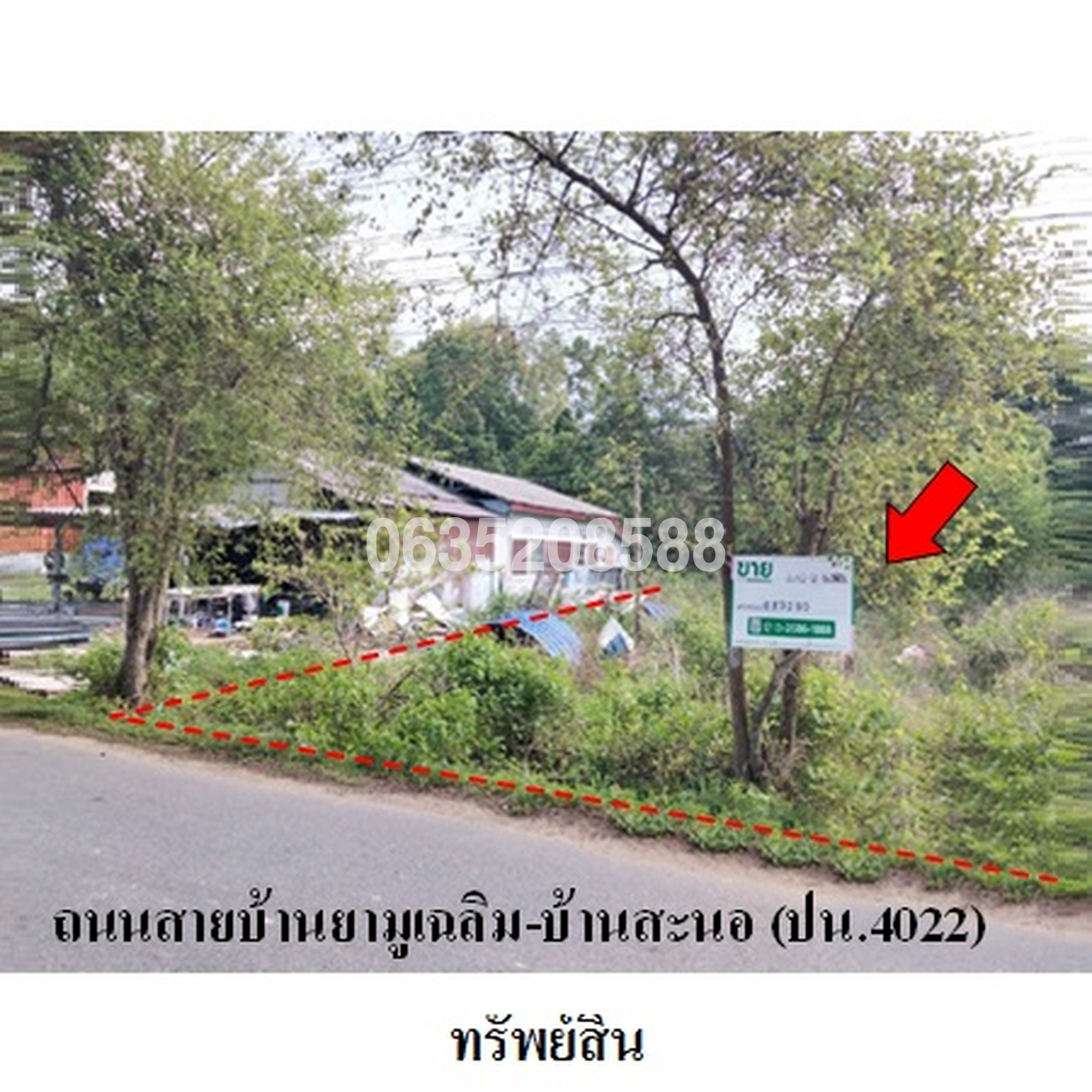 ขายที่ดิน ถนนสายบ้านยามูเฉลิม-บ้านสะนอ (ปน.4022)