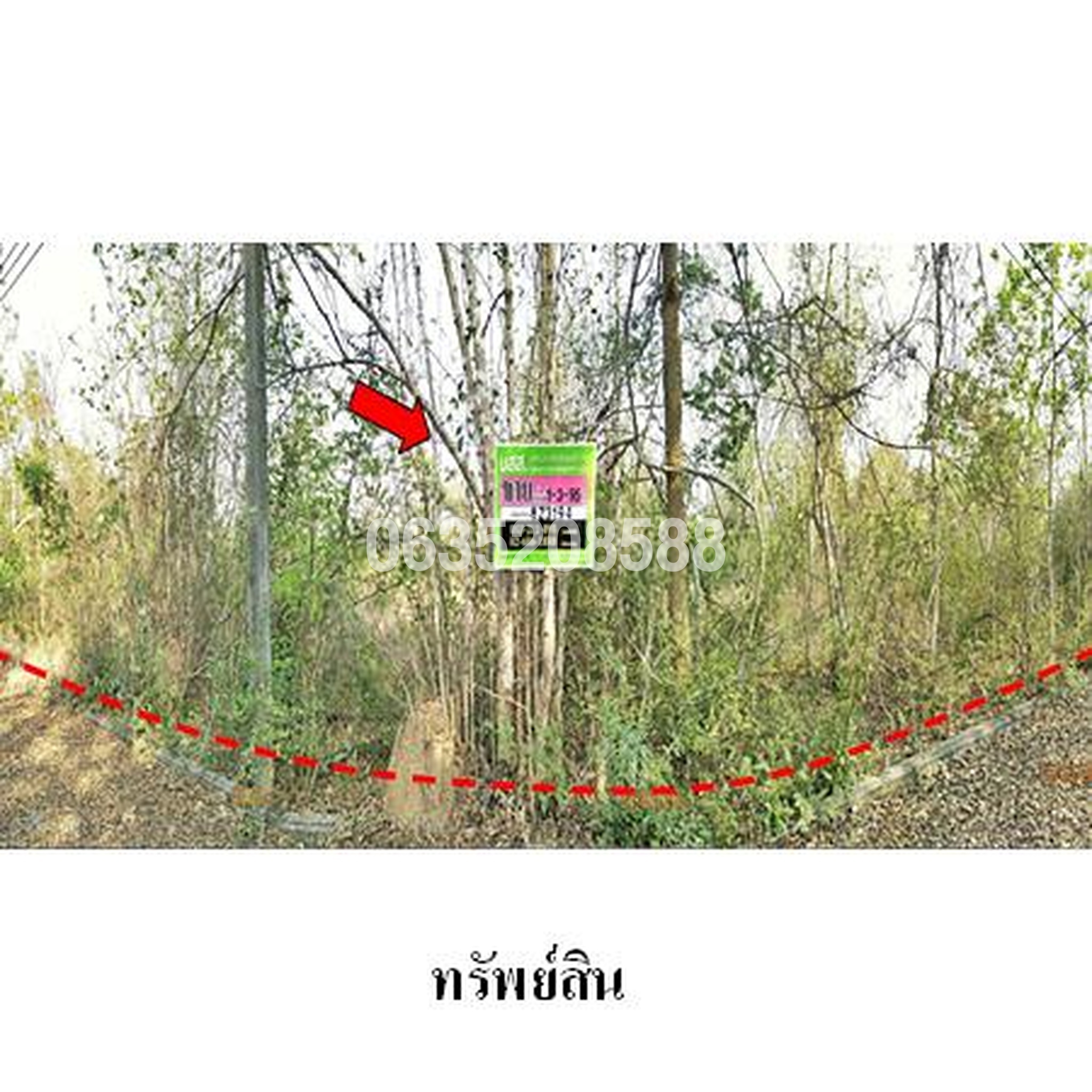ขายที่ดิน ล้านนาคันทรีปาร์ค (Lanna Country Park)