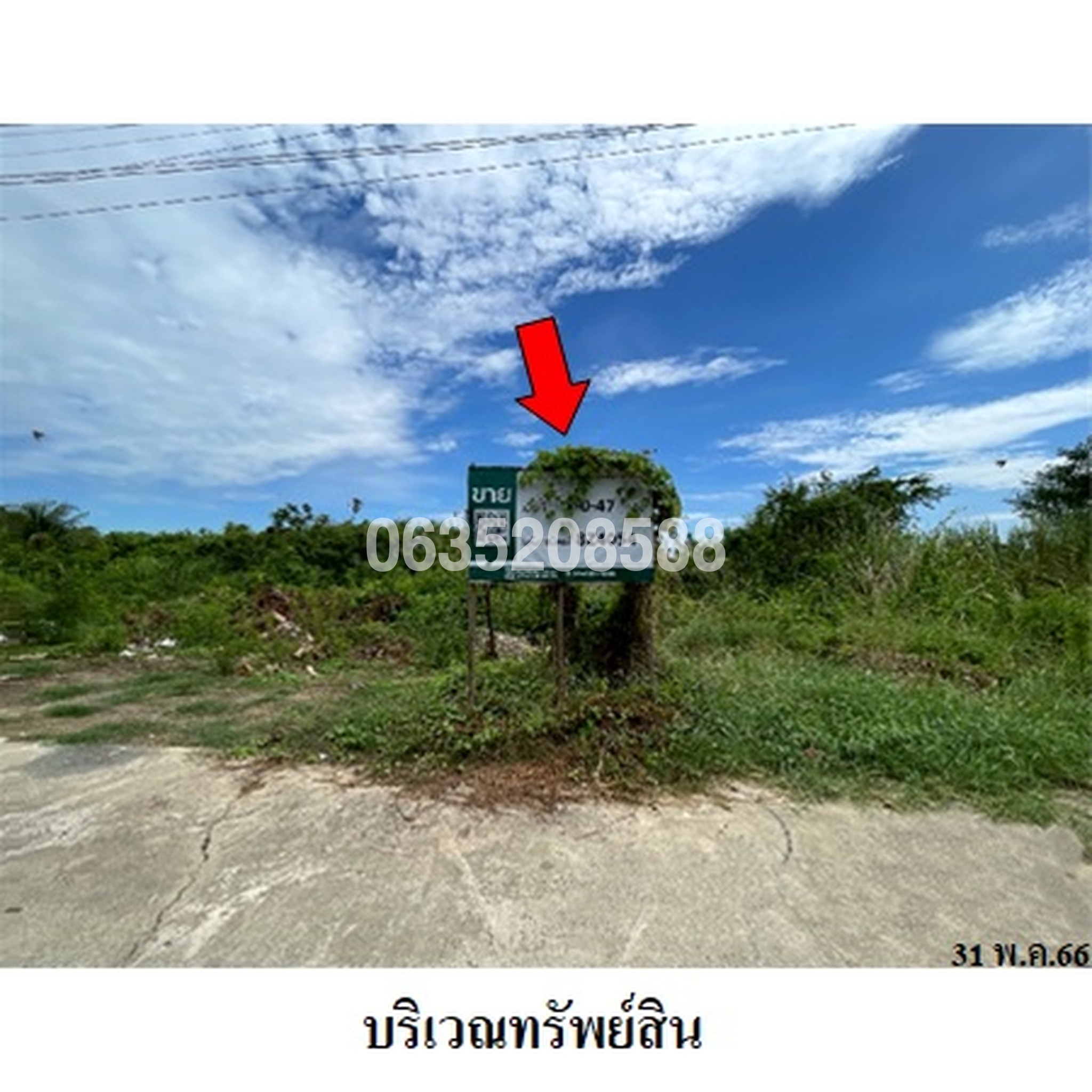 ขายที่ดิน ร่มโพธิ์