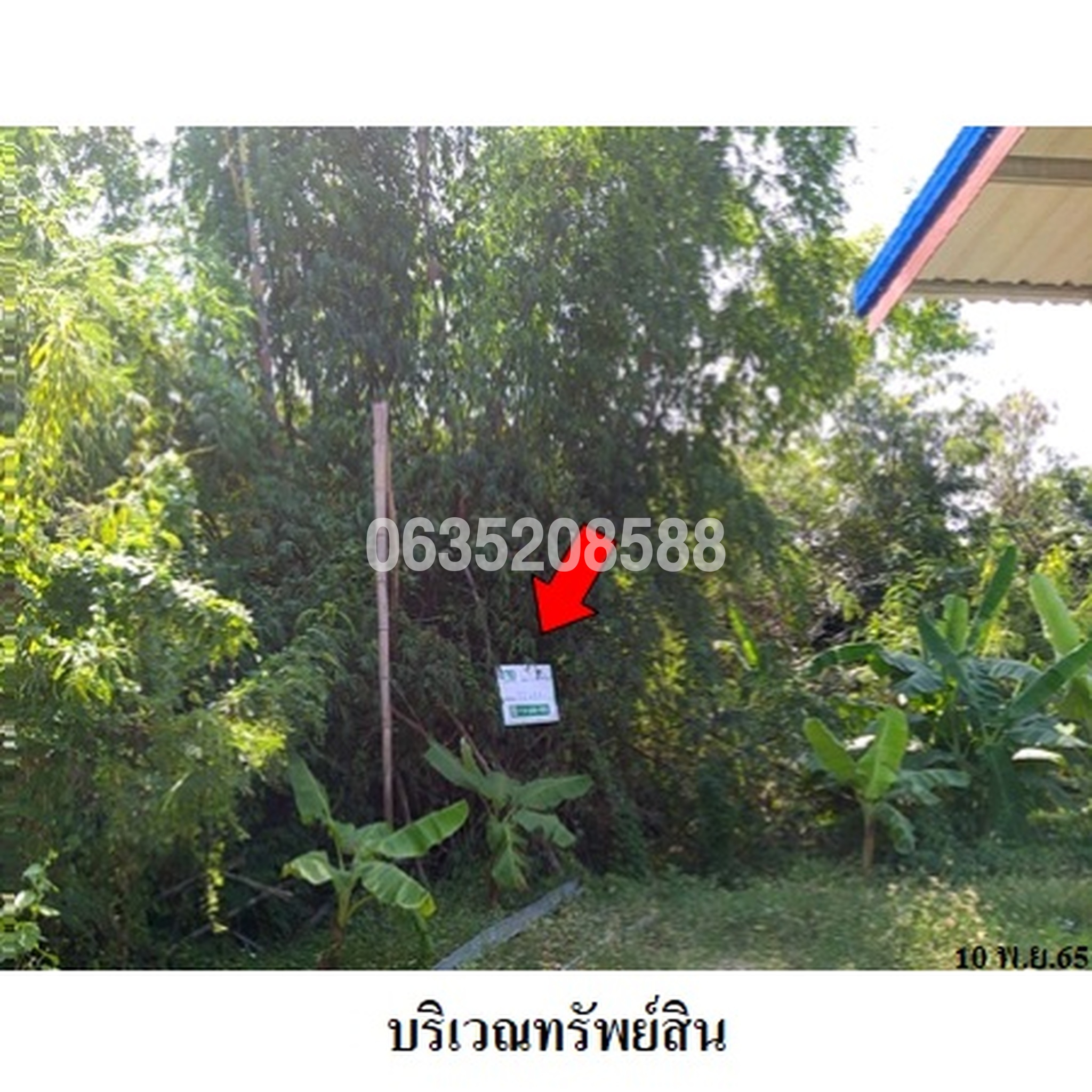 ขายที่ดิน ถนนสายวังหมัน-หนองขาม (ชน.5028)