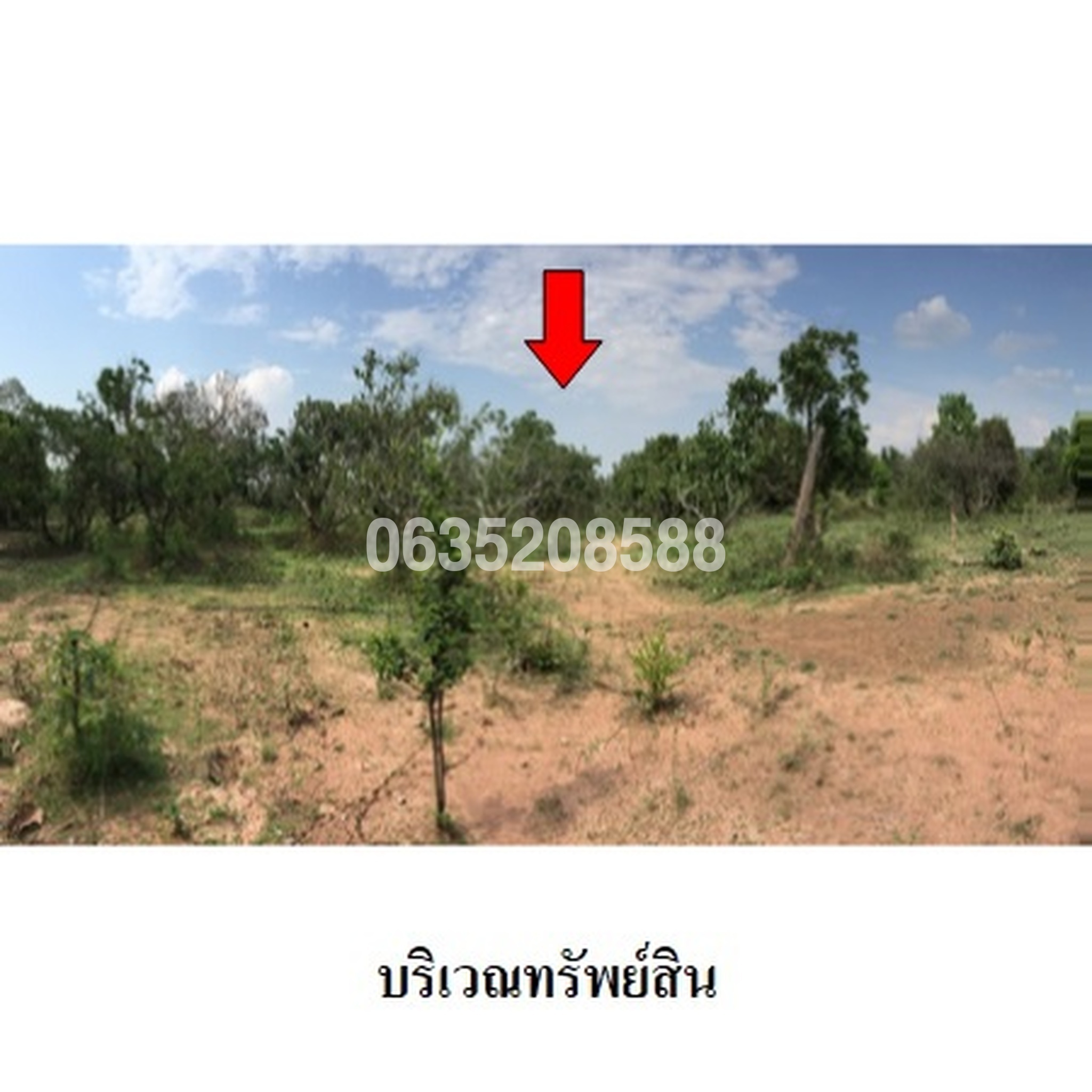 ขายที่ดิน ถนนเลี่ยงเมืองลำพูน (ทล.116)