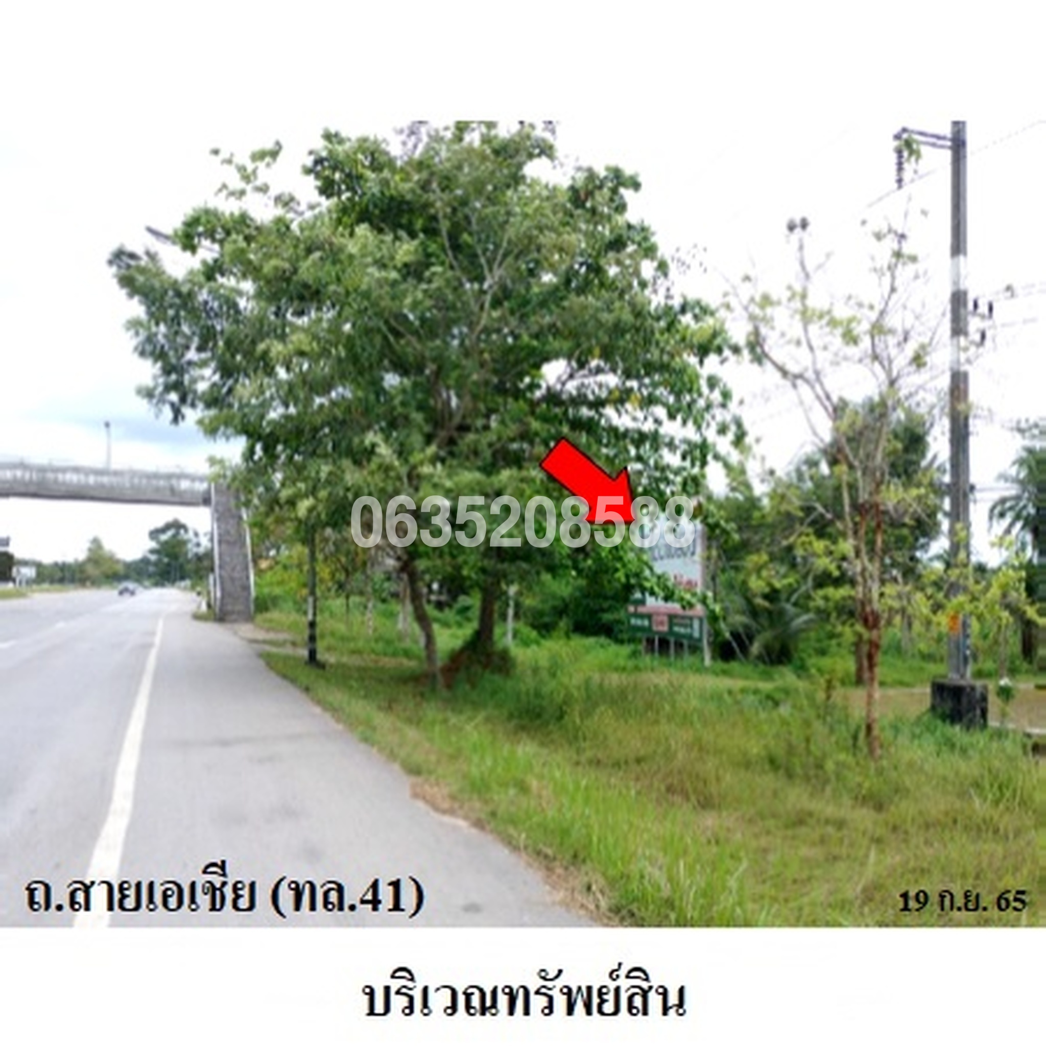 ทรัพย์สถาบันโดย บริษัท บริหารสินทรัพย์สุขุมวิท จำกัด ที่ดิน ถนนเอเชีย (ทล.41) ตอนไชยา-พุนพิน