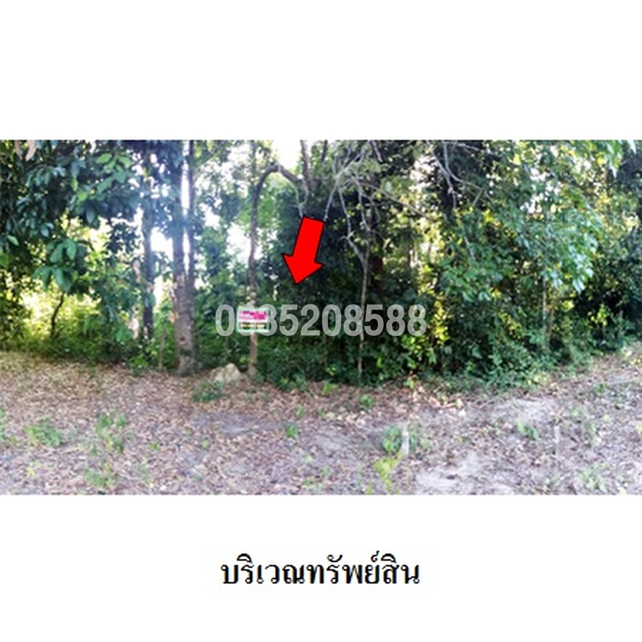 ขายที่ดิน ถนนสายบุรี-กะพ้อ (ทล.4060)