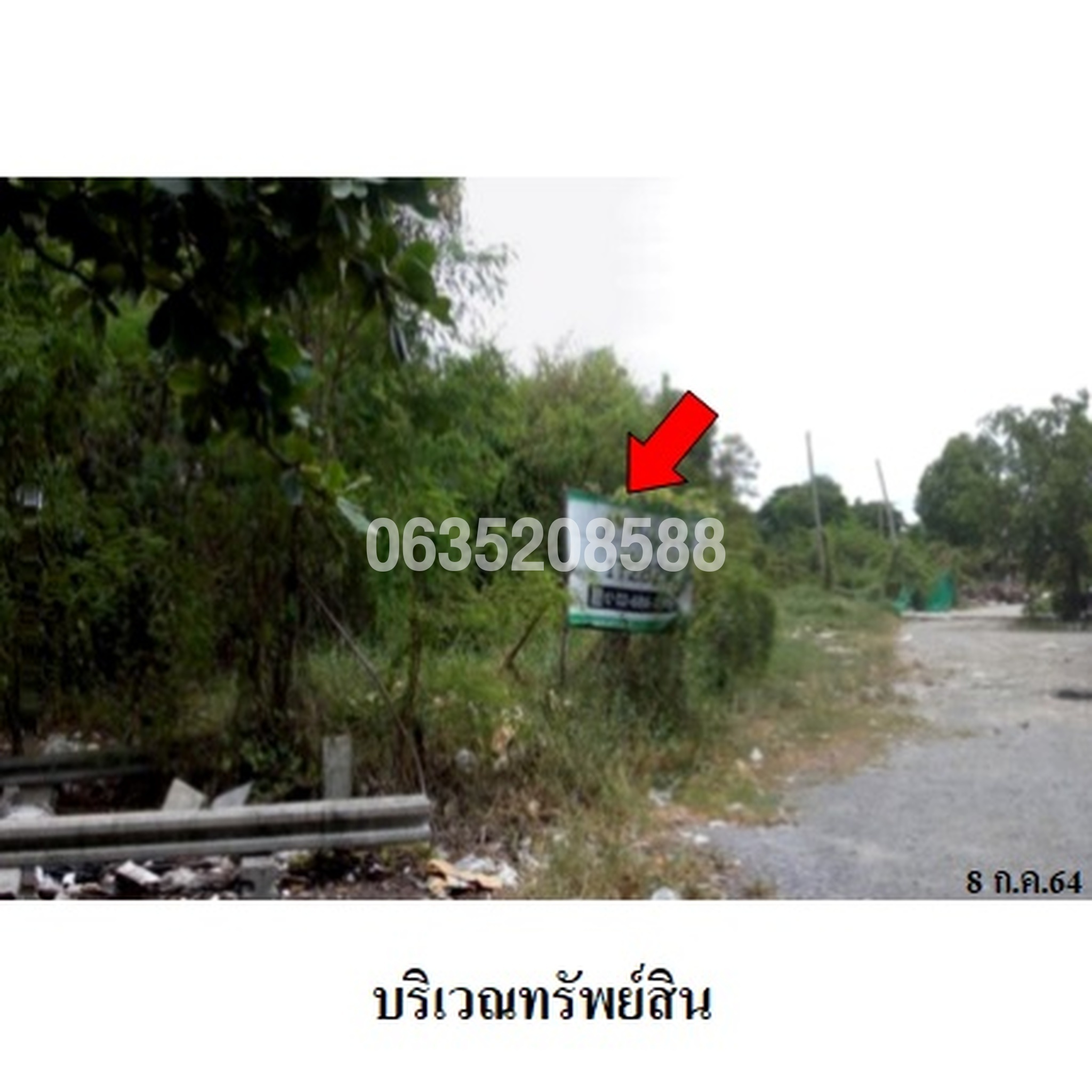 ขายที่ดิน เมืองประชา (Mueang Pracha Bang Khu Wat)