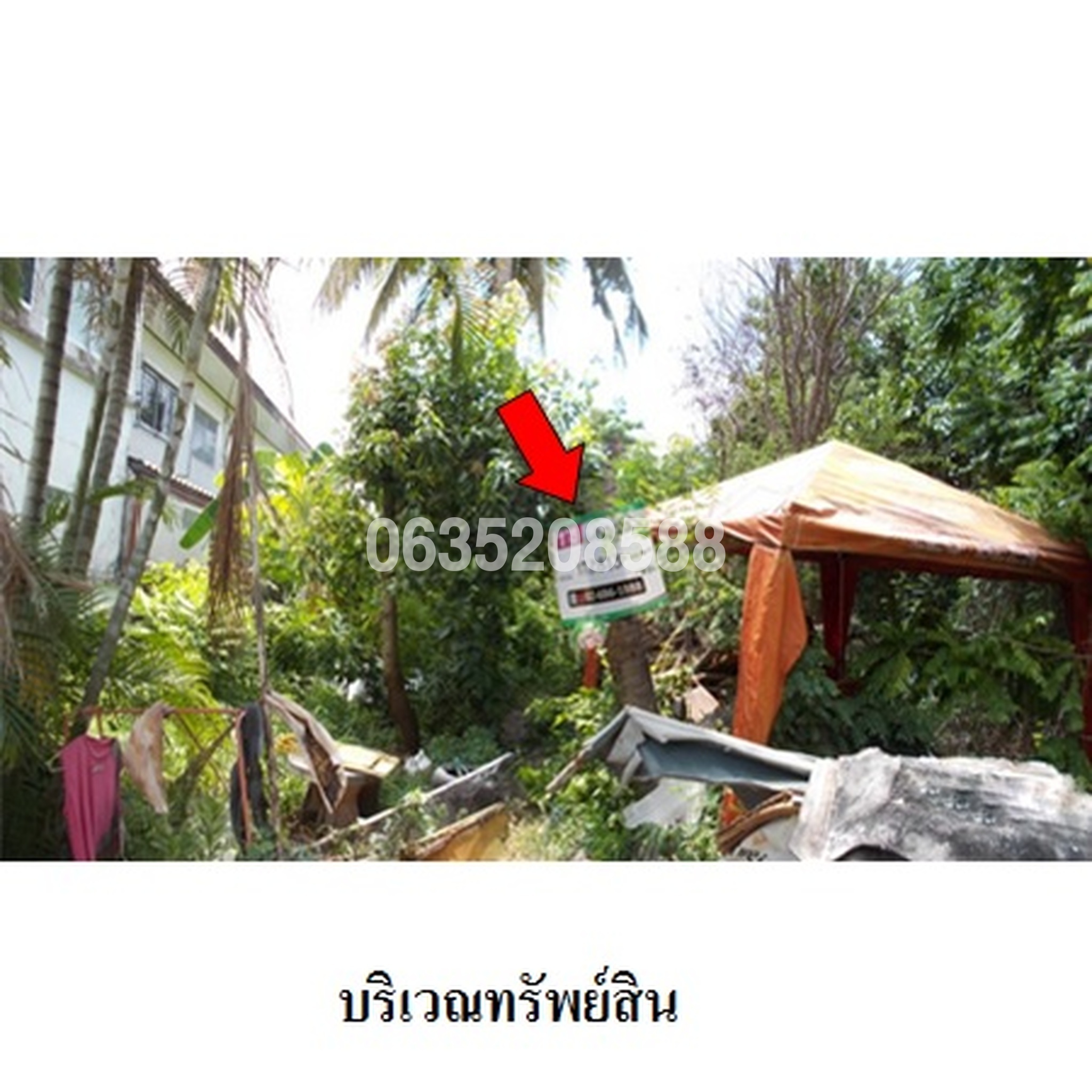 ขายที่ดิน เมืองประชา (Mueang Pracha Bang Khu Wat)