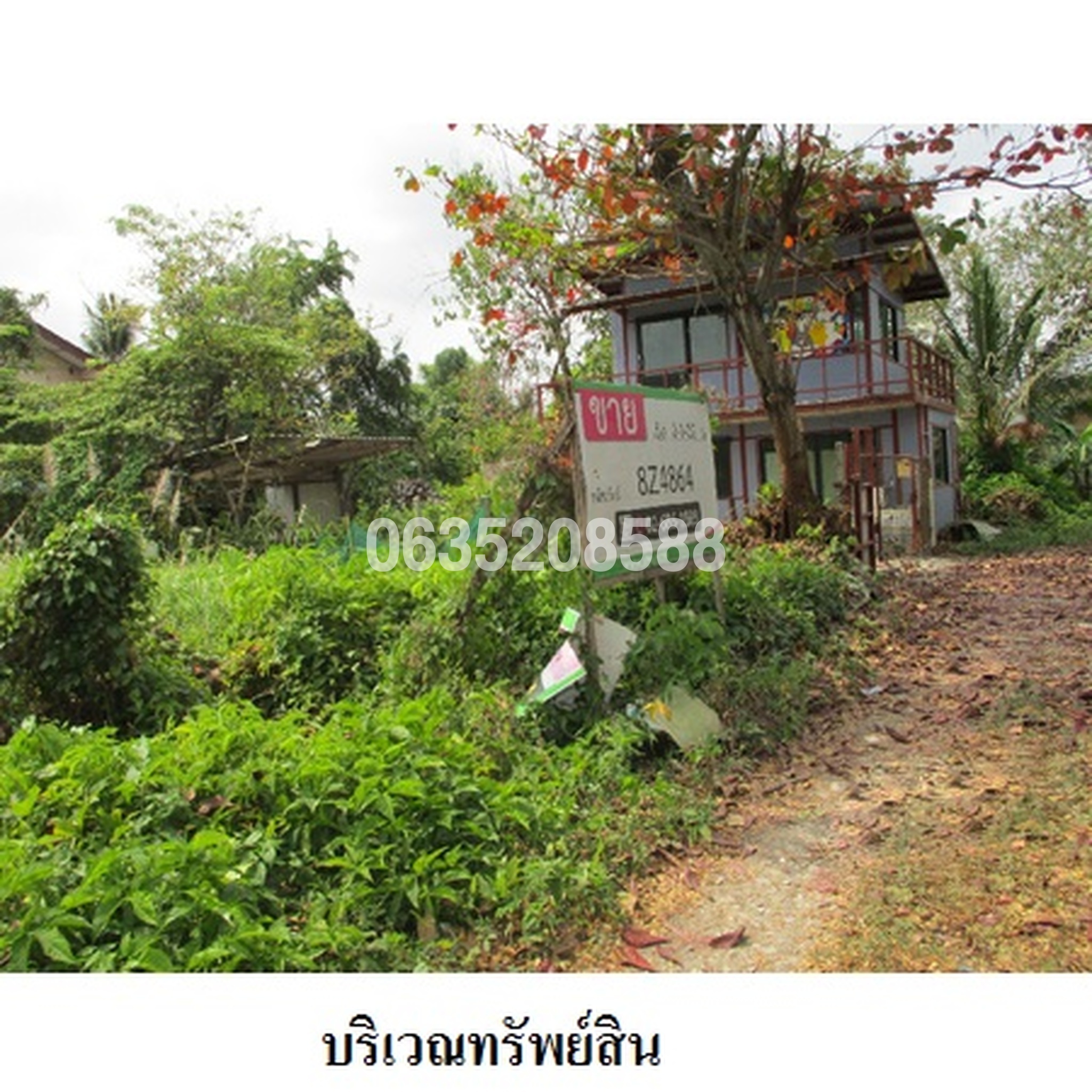 ทรัพย์สถาบันโดย บริษัท บริหารสินทรัพย์สุขุมวิท จำกัด ที่ดิน ถนนนครลุง
