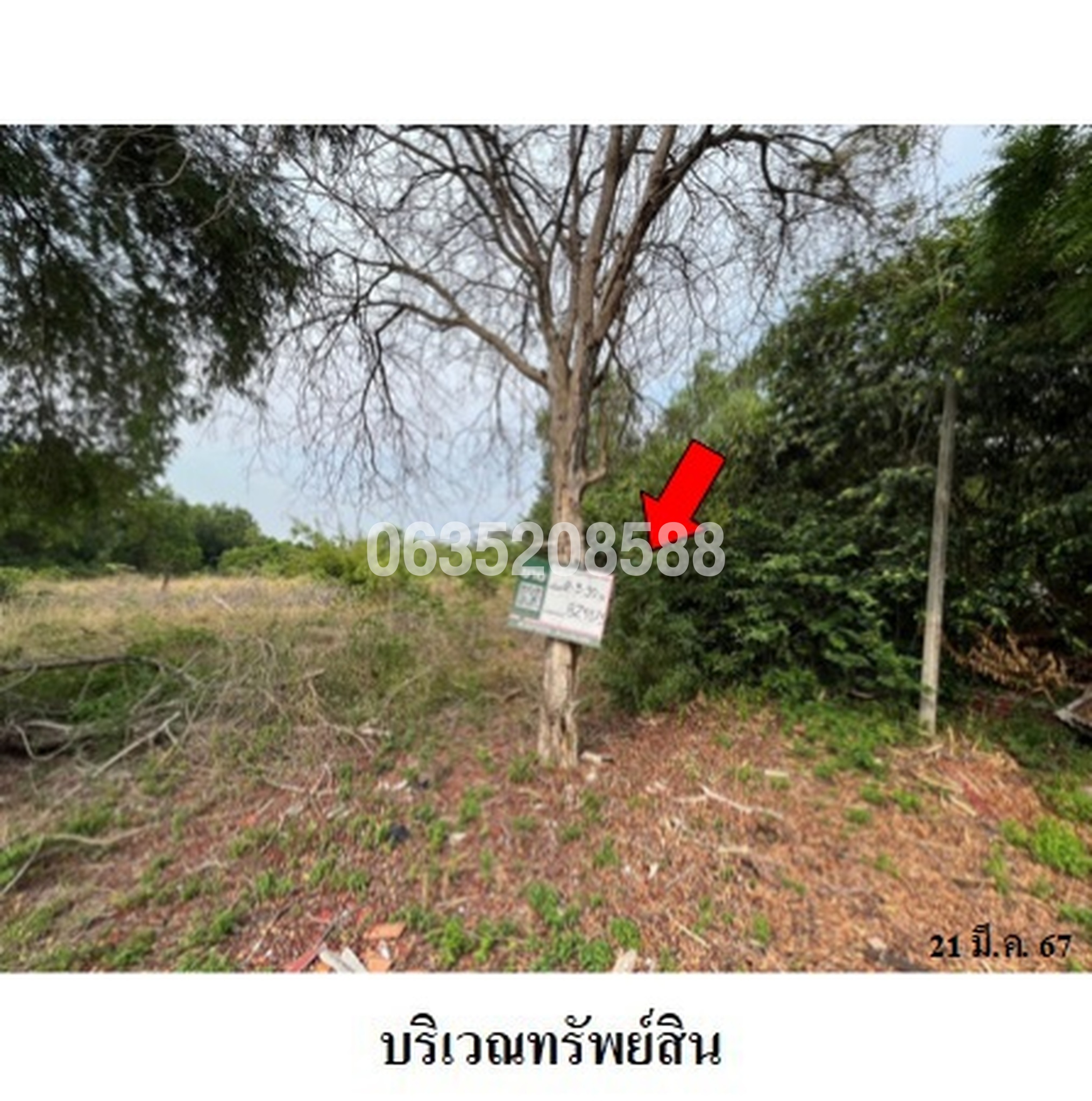 ขายที่ดิน ถนนเลียบหาดแม่รำพึง