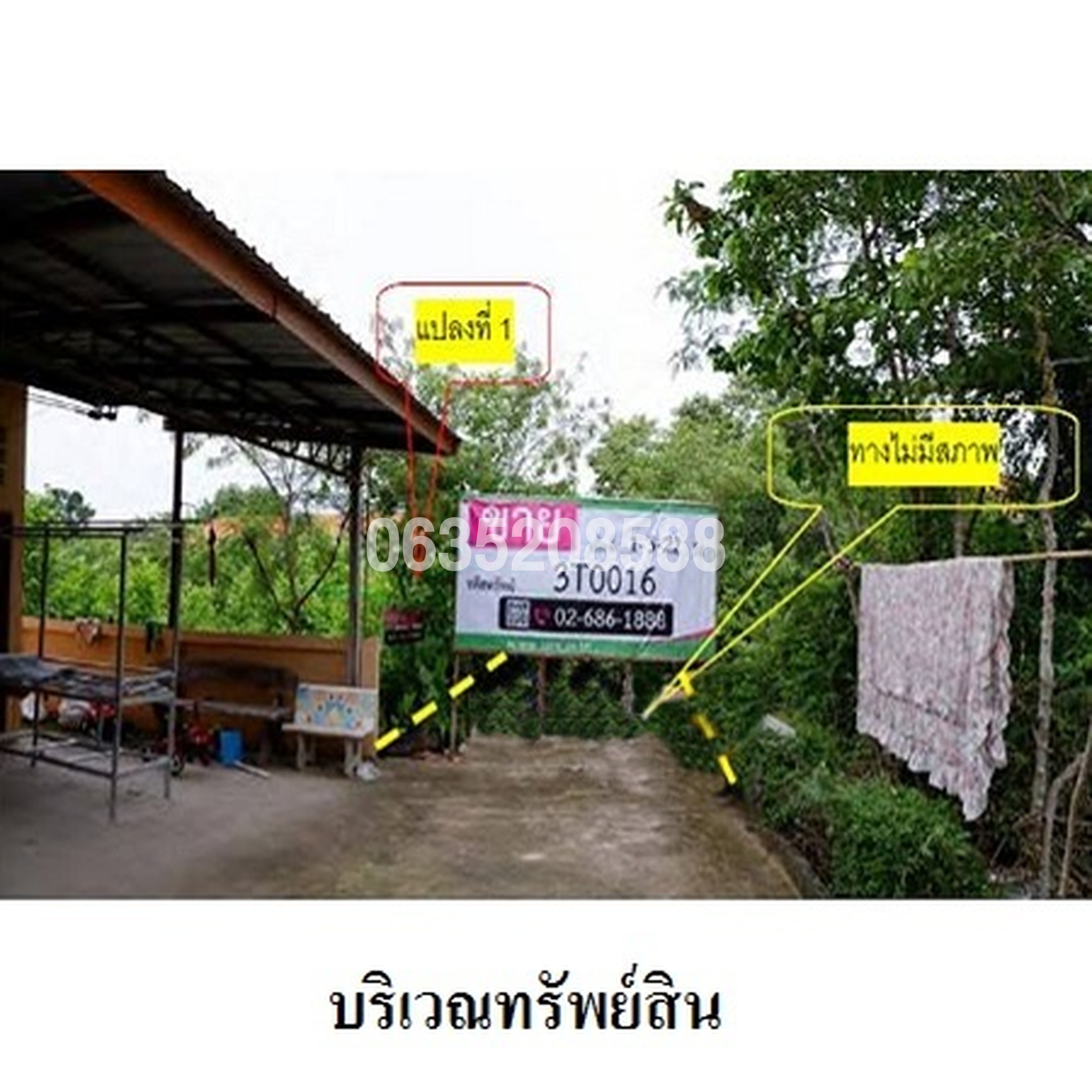 ขายที่ดิน ถนนสายชัยภูมิ-ตาดโตน (ทล.2051)