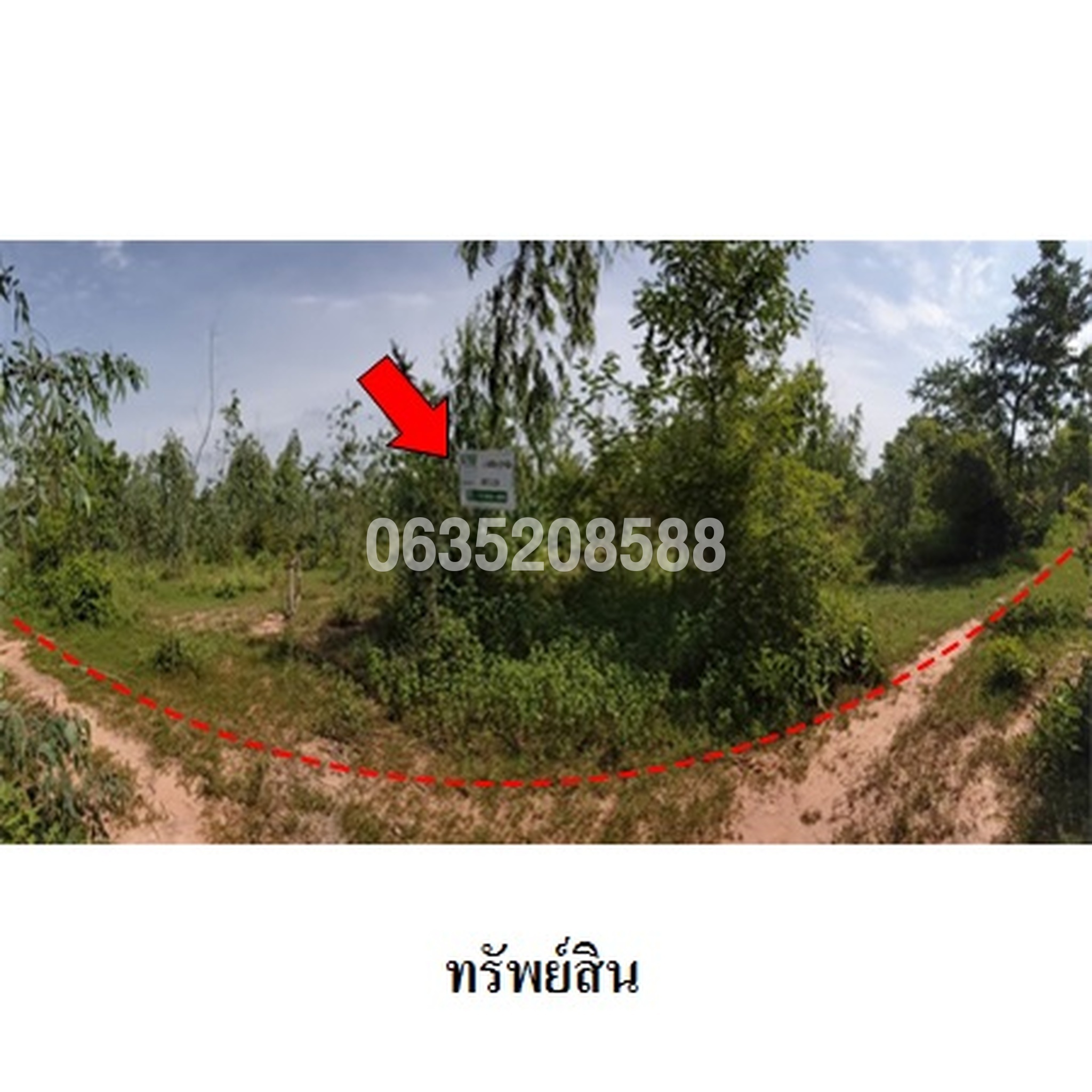 ขายที่ดิน ถนนสายบ้านยางบ่า-โคกสูง (ชย.4077)