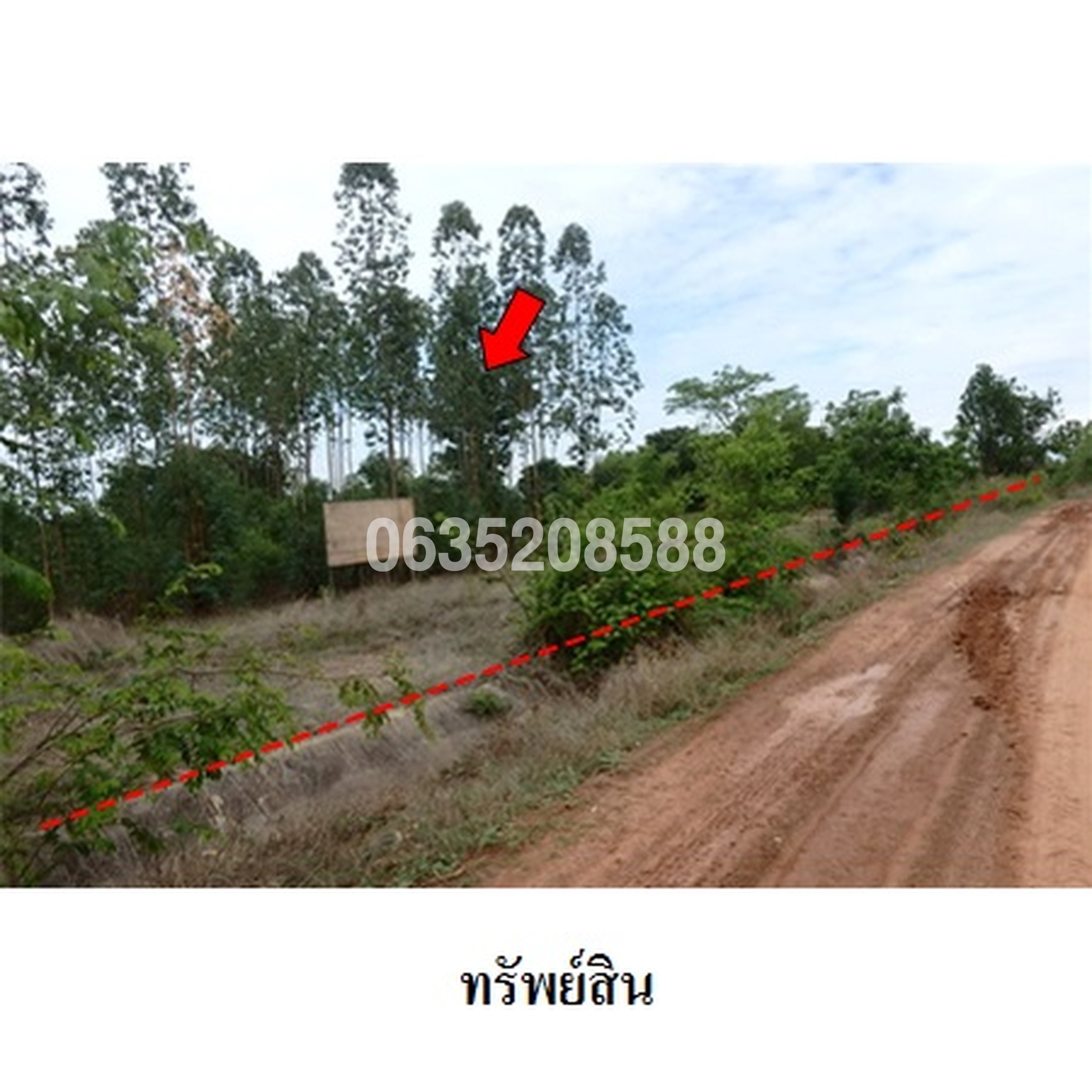 ขายที่ดิน ถนนสายบ้านยางบ่า-โคกสูง (ชย.4077)