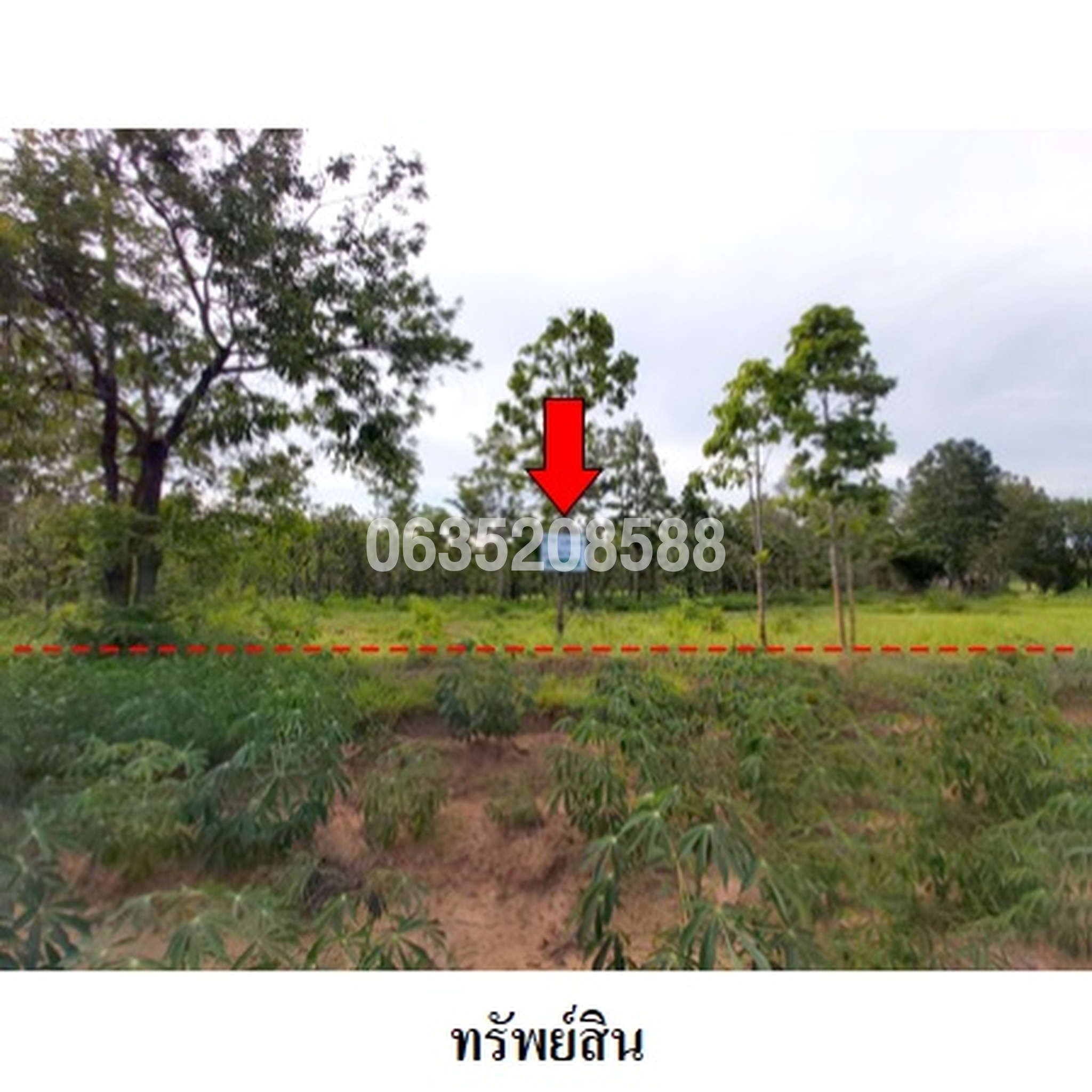 ขายที่ดิน ถนนสายบ้านยางบ่า-โคกสูง (ชย.4077)