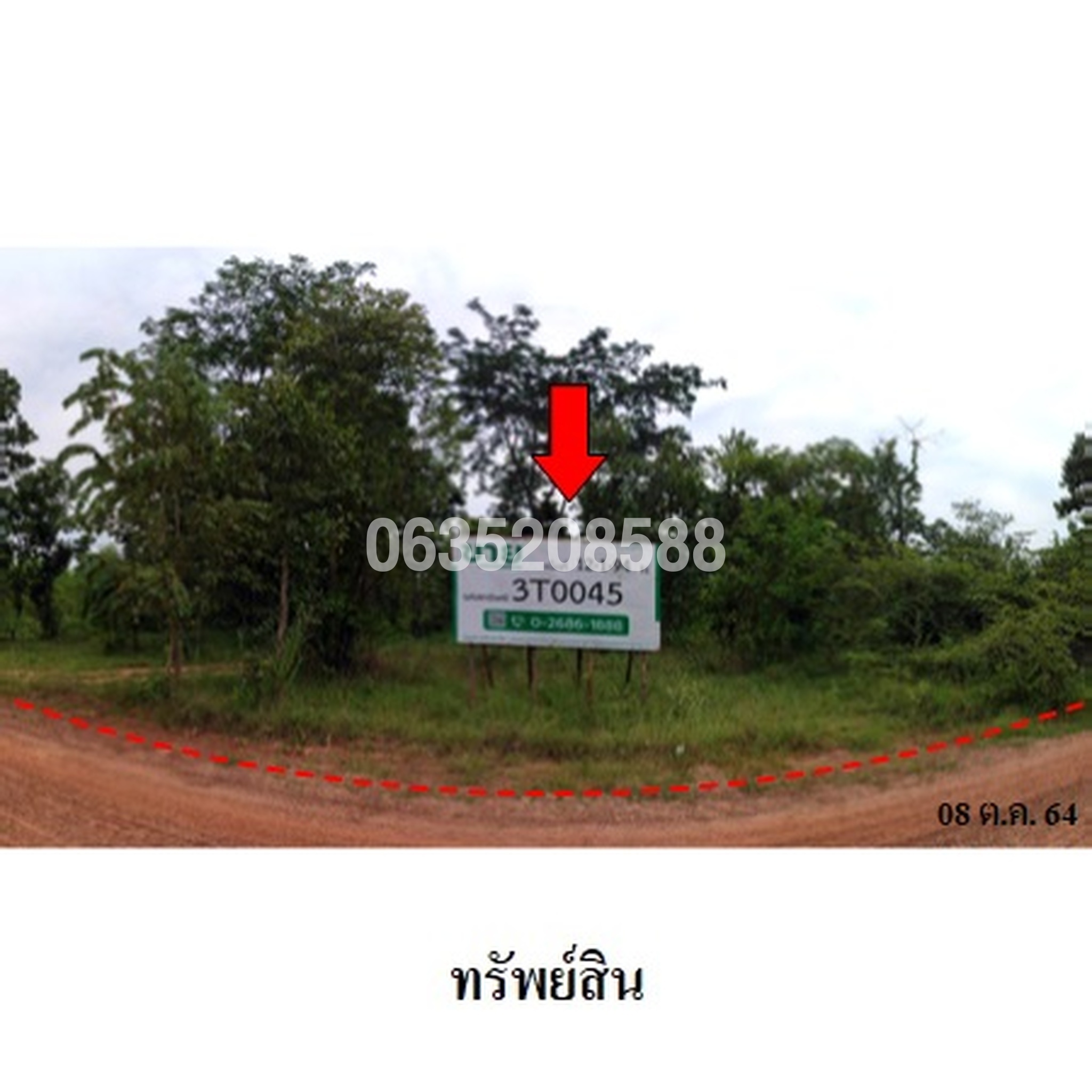 ขายที่ดิน ถนนสายชัยภูมิ-หนองบัวแดง (ทล.2159)