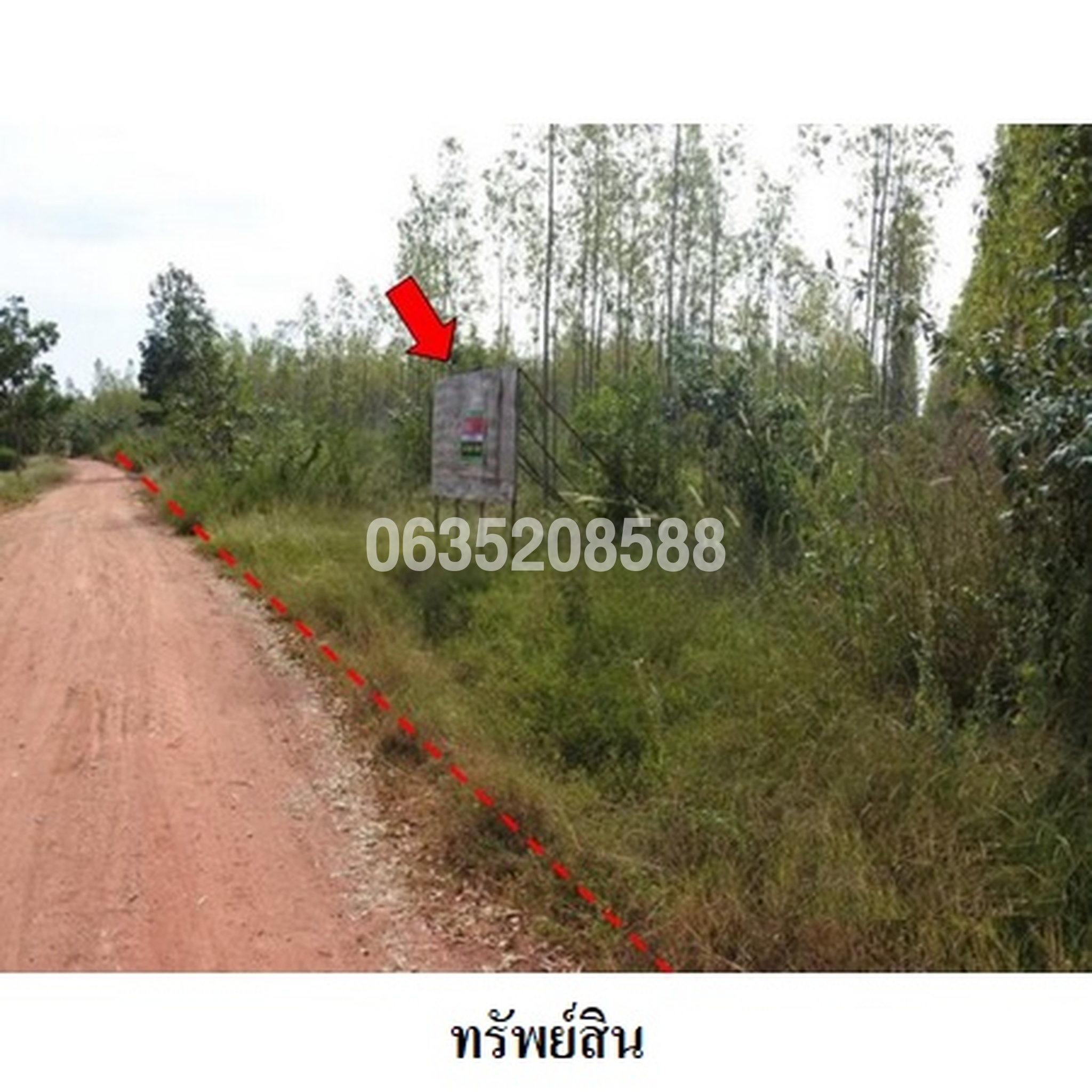 ขายที่ดิน ถนนสายชัยภูมิ-ตาดโตน (ทล.2051)