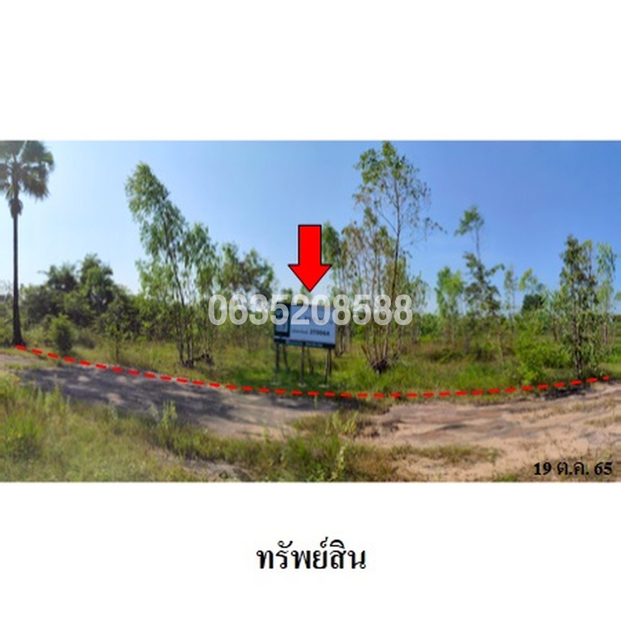 ขายที่ดิน ถนนสายชัยภูมิ-ตาดโตน (ทล.2051)